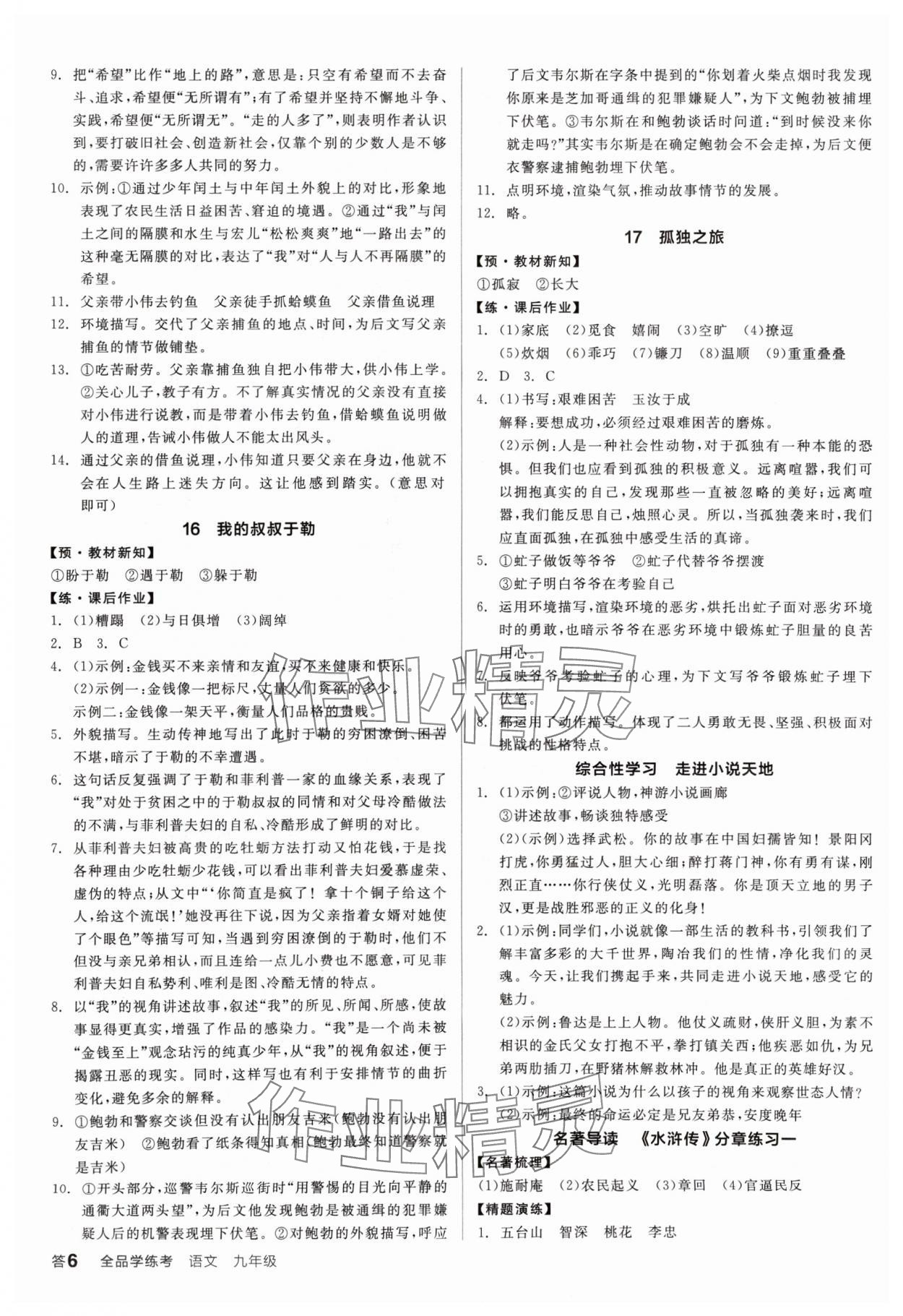 2024年全品學(xué)練考九年級語文人教版廣東專版 參考答案第6頁