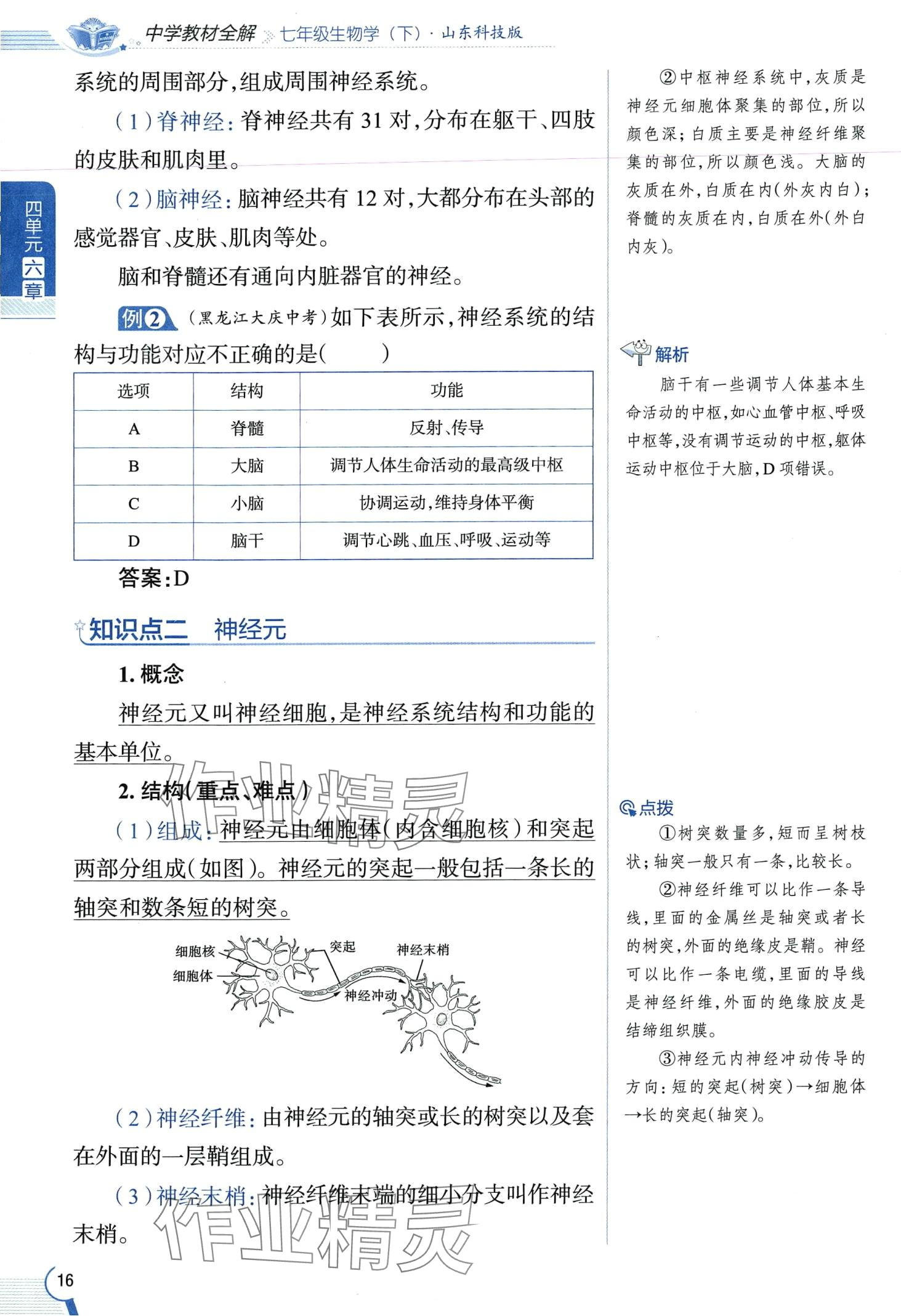 2024年教材课本七年级生物下册鲁科版&nbsp;第16页