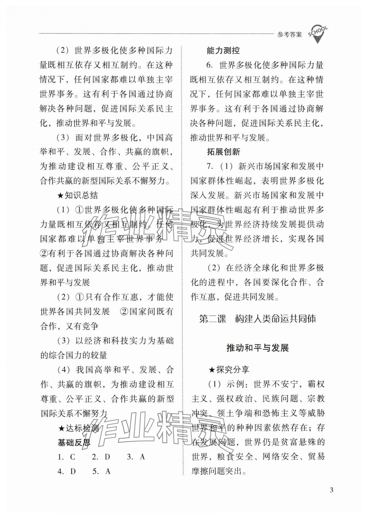 2025年新课程问题解决导学方案九年级道德与法治下册人教版 参考答案第3页
