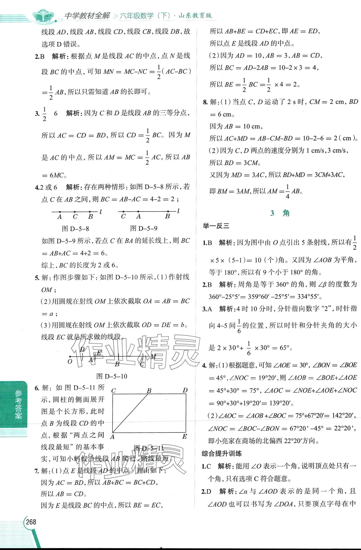 2024年教材全解六年級數(shù)學(xué)下冊魯教版 第3頁