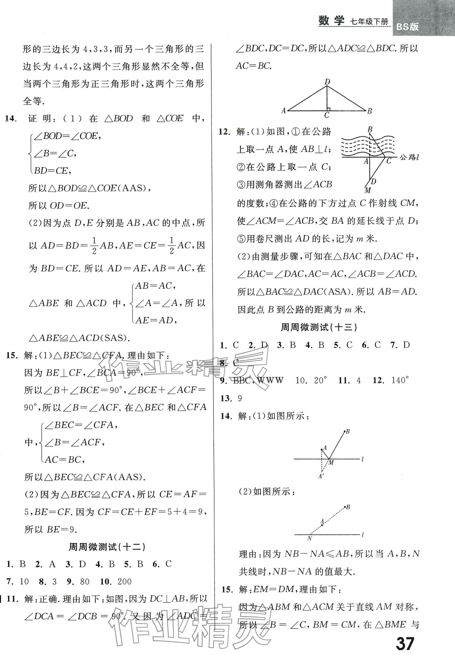 2024年一線調(diào)研學(xué)業(yè)測評七年級數(shù)學(xué)下冊北師大版 第5頁