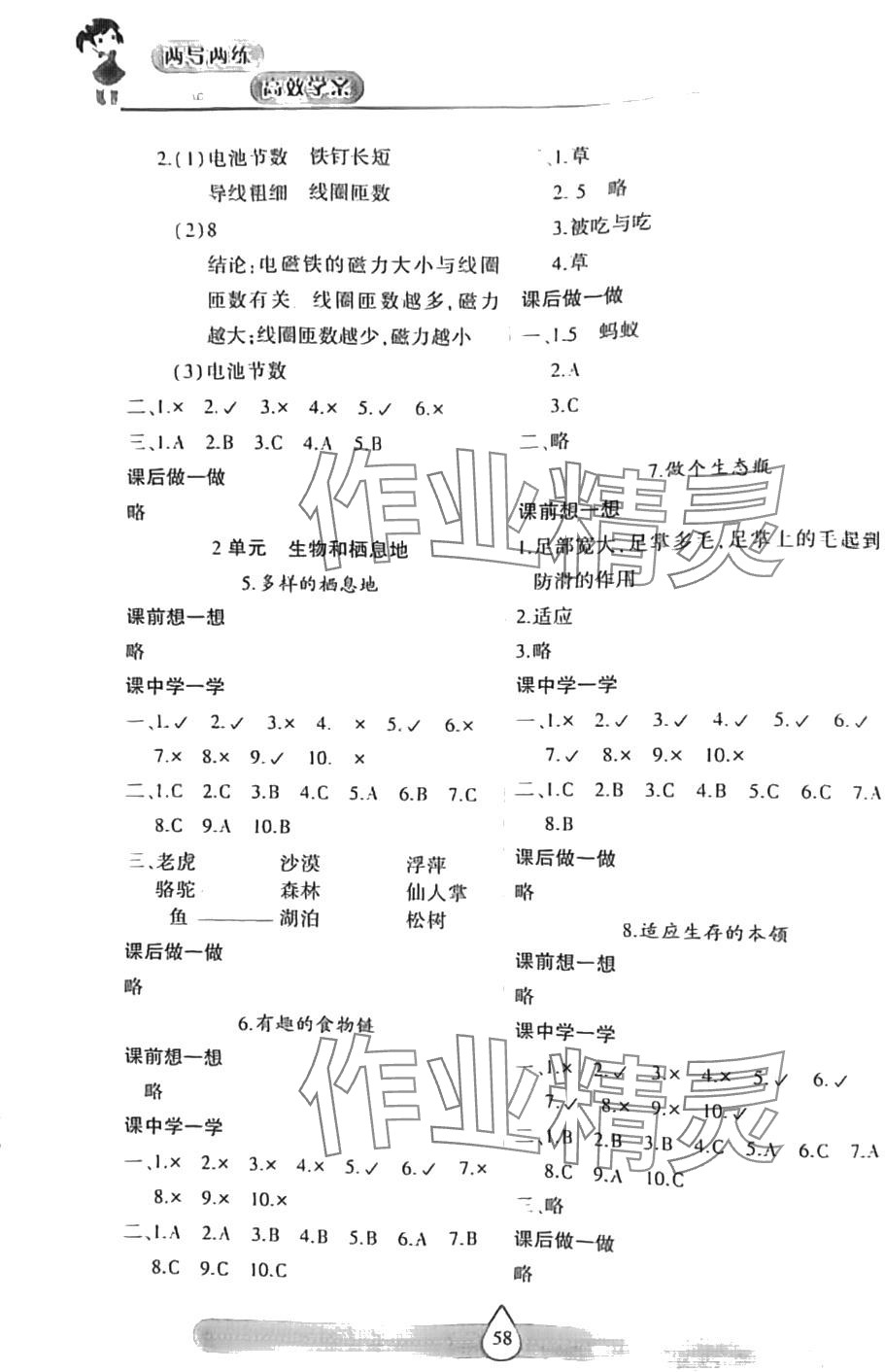 2024年新课标两导两练高效学案六年级科学下册苏教版 第2页