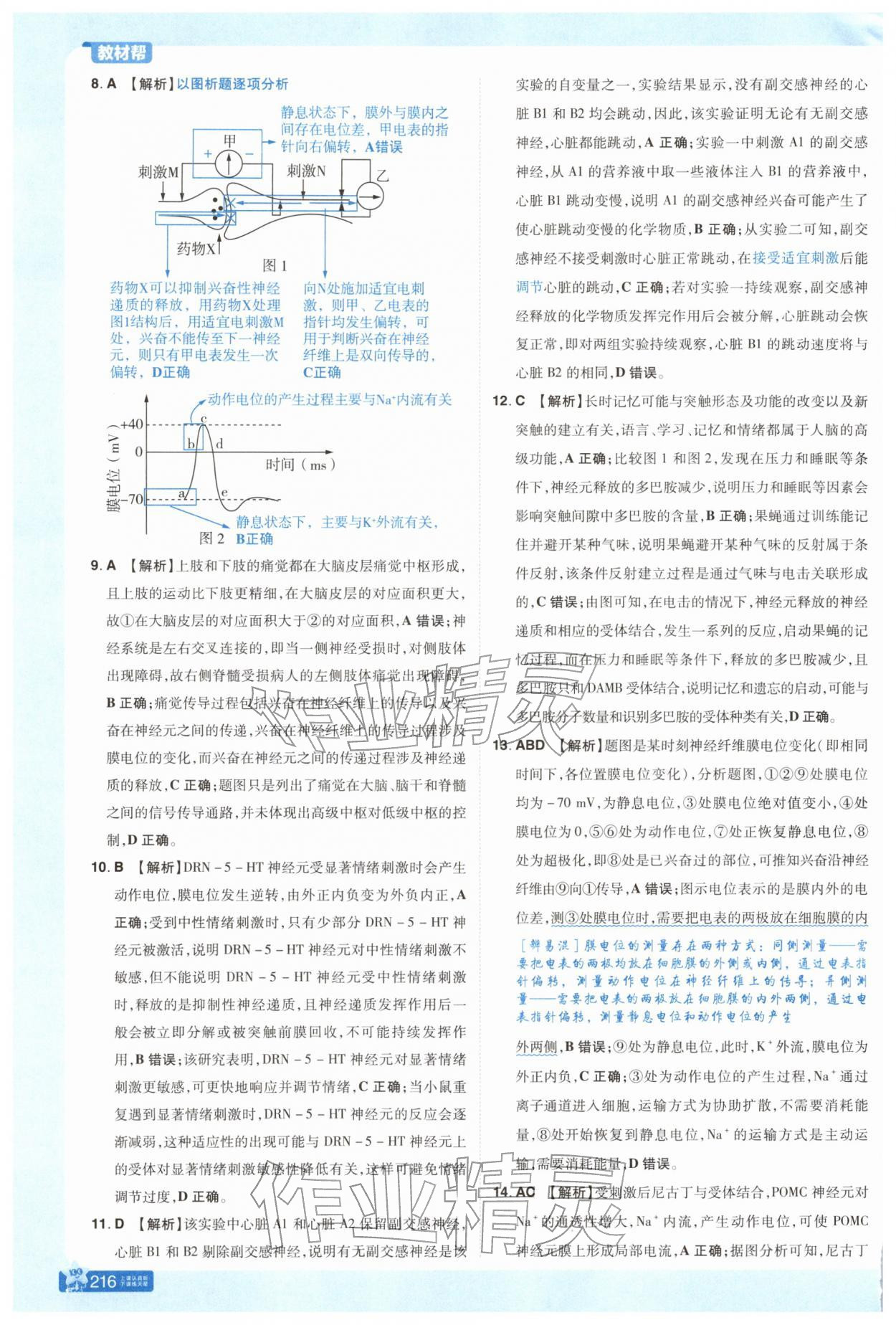 2025年教材幫高中生物選擇性必修1人教版 參考答案第12頁