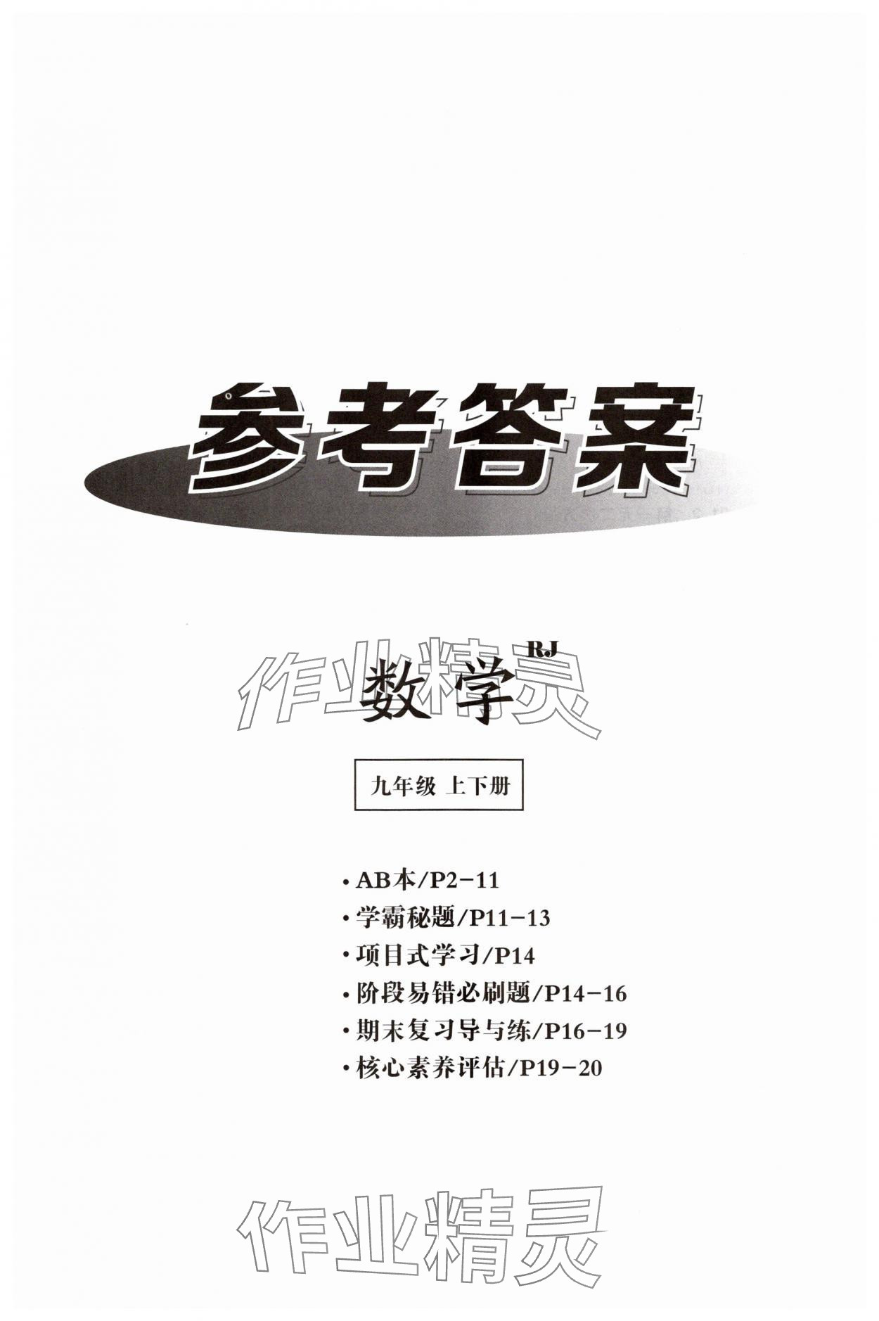 2025年全效学习课时提优九年级数学全一册人教版精华版 第1页