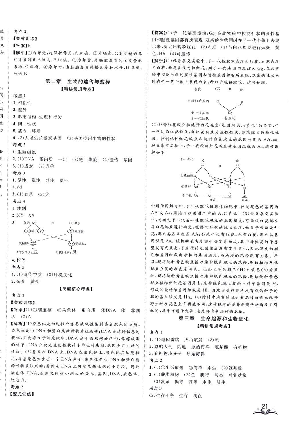 2024年高分計劃生物 第10頁