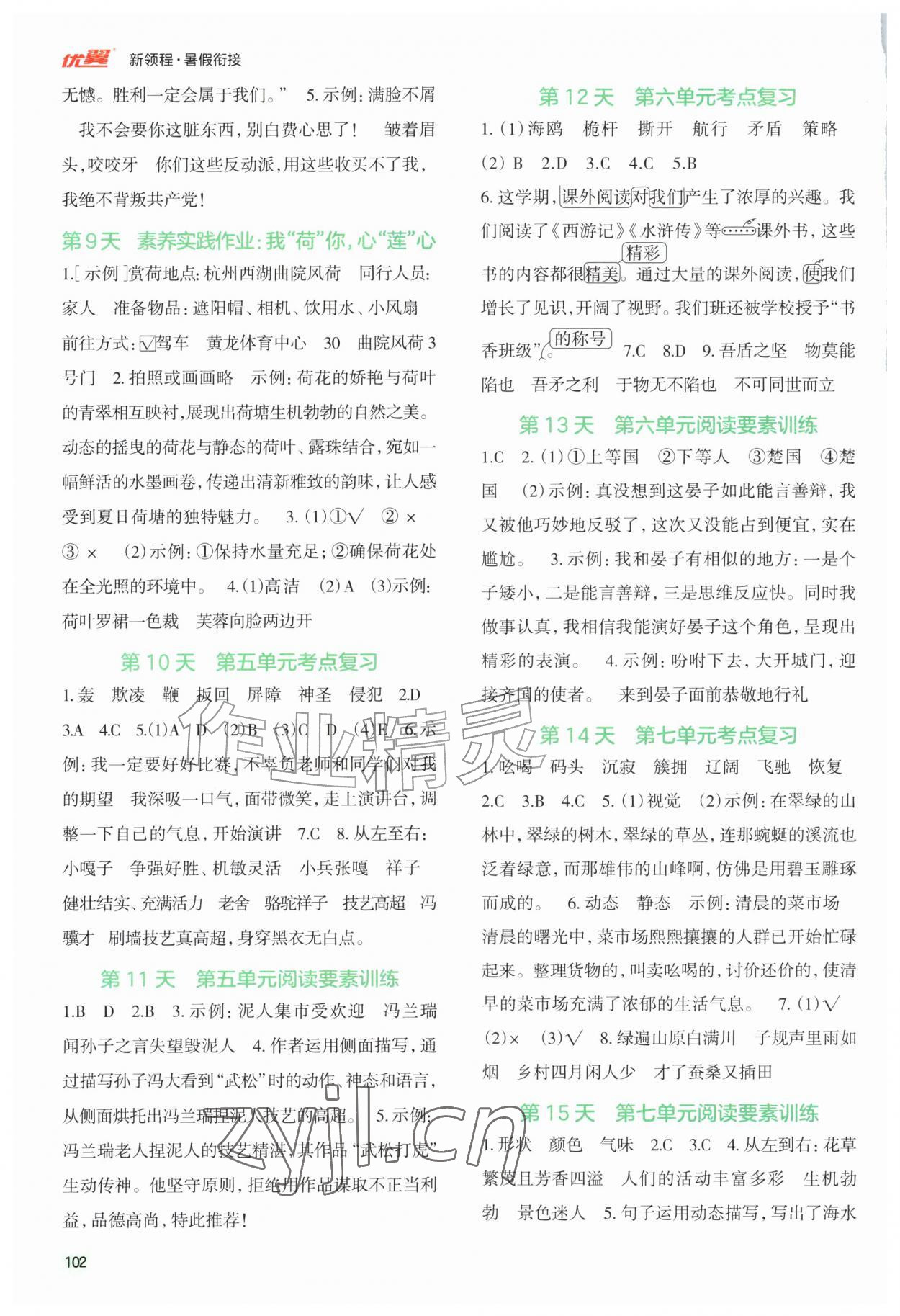 2026年新领程暑假衔接五年级语文人教版&nbsp;第2页