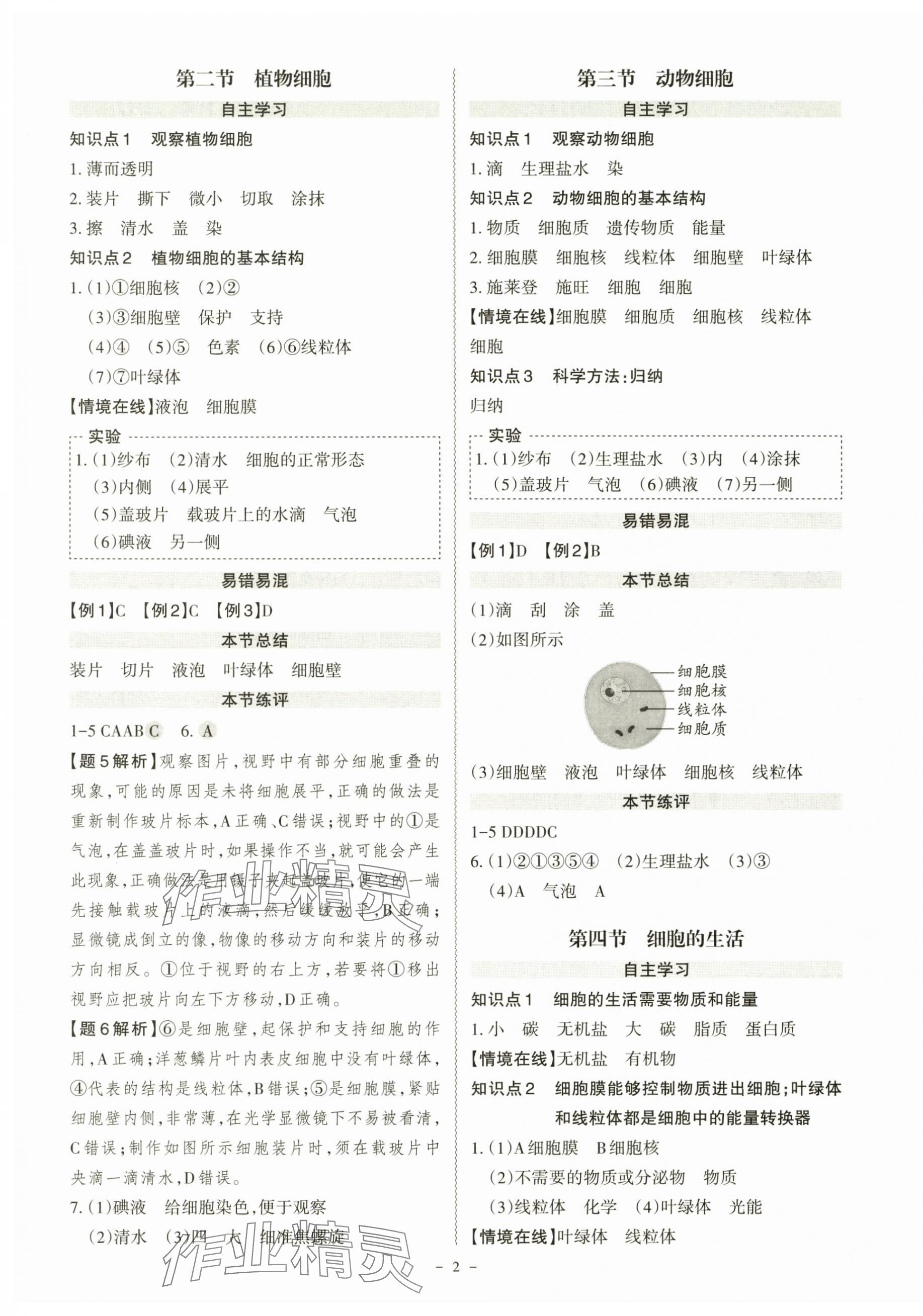 2025年同步冲刺七年级生物上册人教版 第2页
