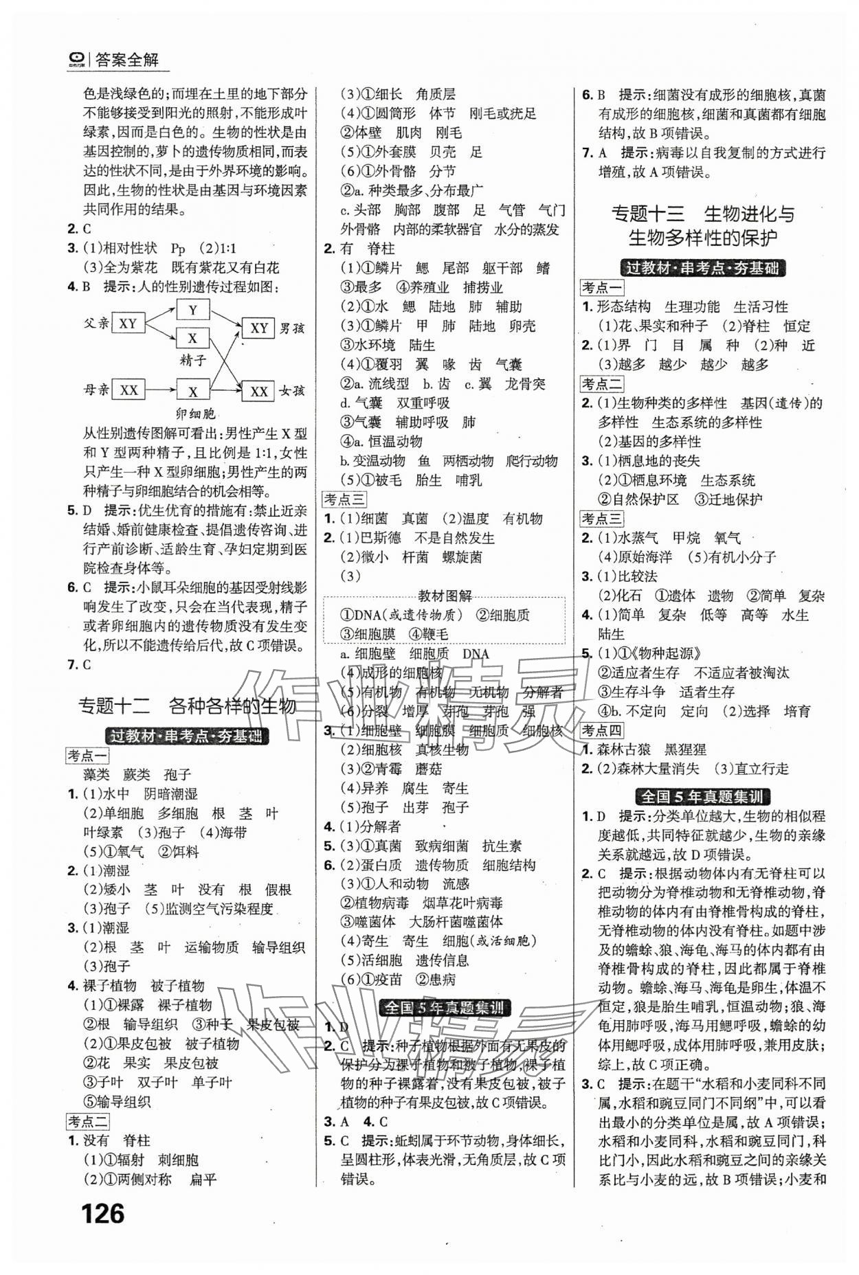 2024年全優(yōu)中考系統(tǒng)總復(fù)習(xí)生物河北專版 第8頁