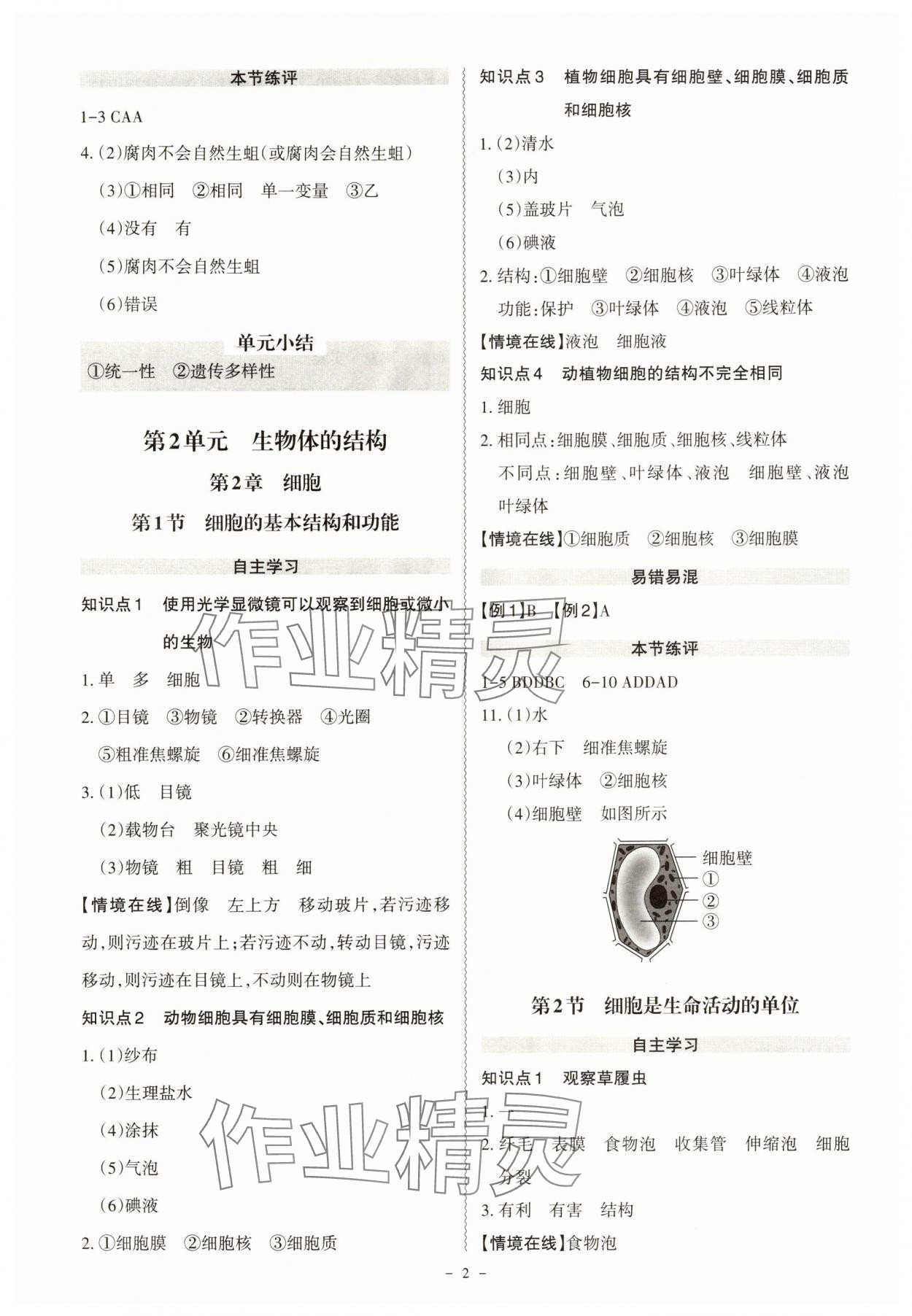 2025年同步冲刺七年级生物上册北师大版 第2页