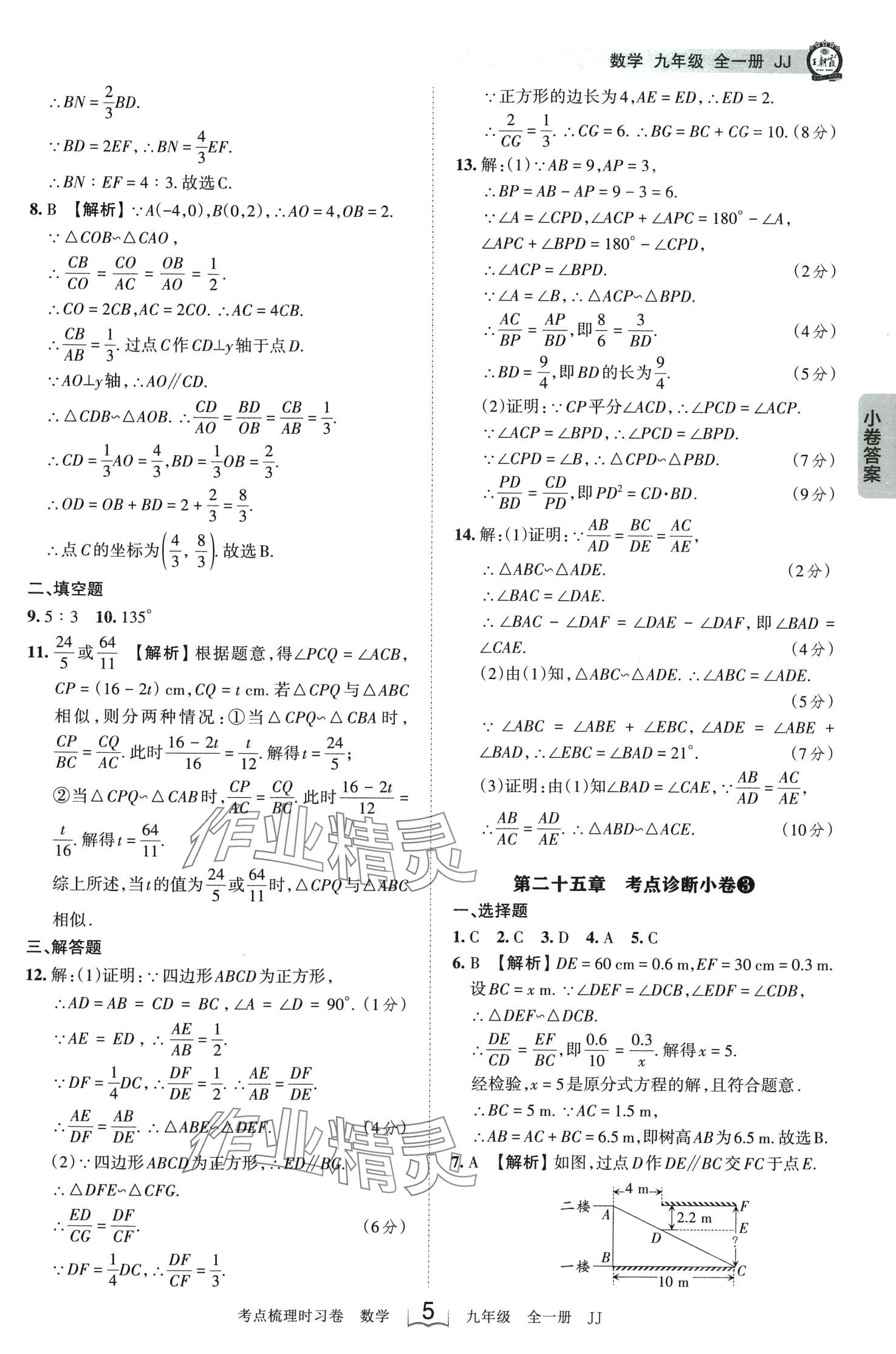 2024年王朝霞考點梳理時習(xí)卷九年級數(shù)學(xué)全一冊冀教版 第5頁