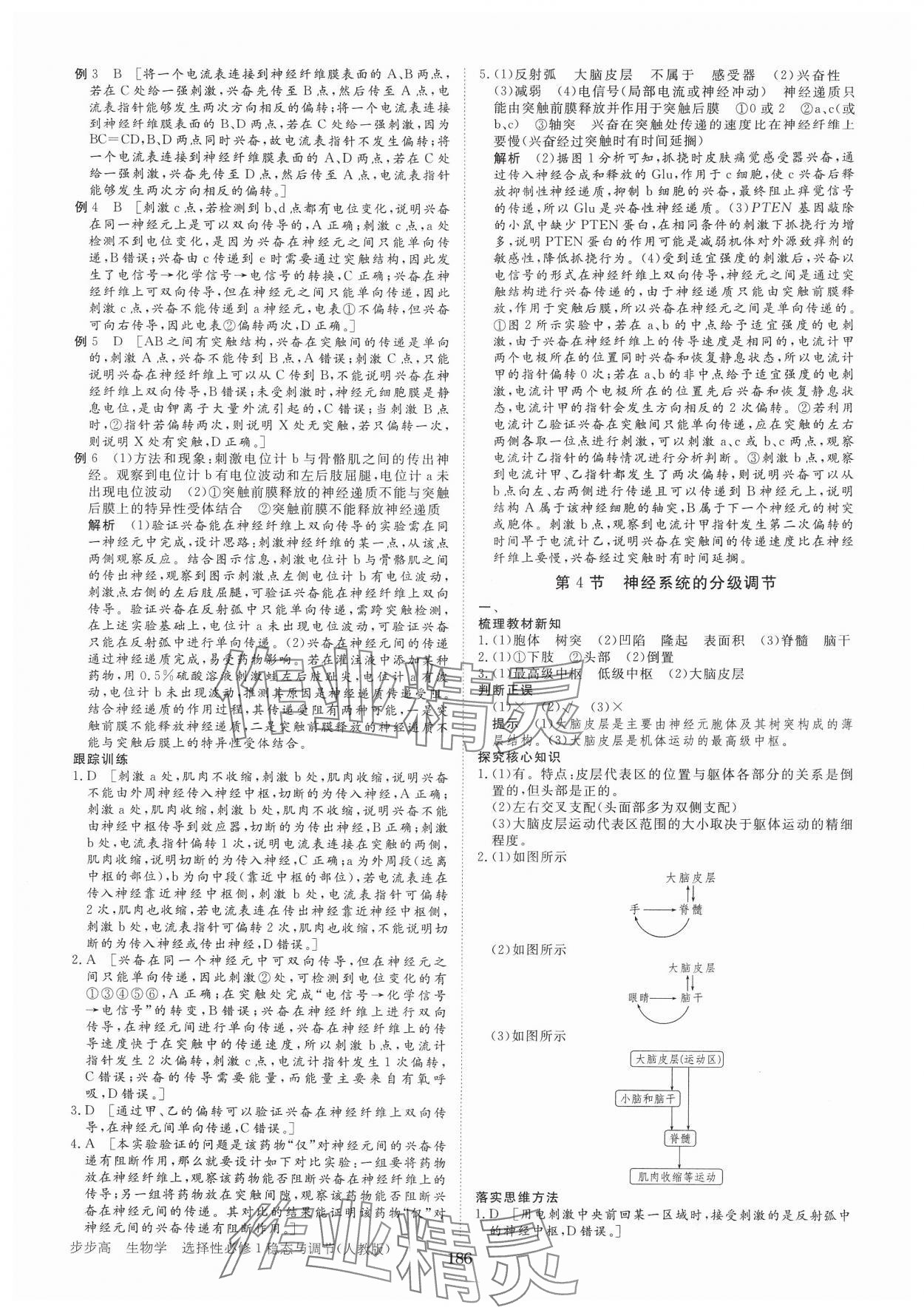 2024年步步高學(xué)習(xí)筆記高中生物選擇性必修1人教版 參考答案第5頁