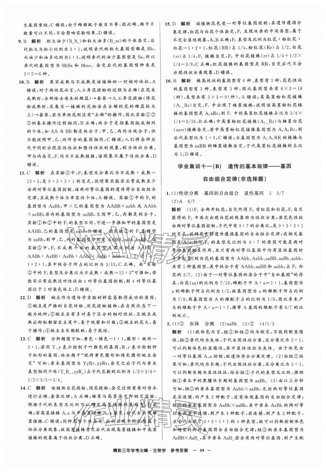 2025年精彩三年學考尖峰生物浙江專版 第13頁
