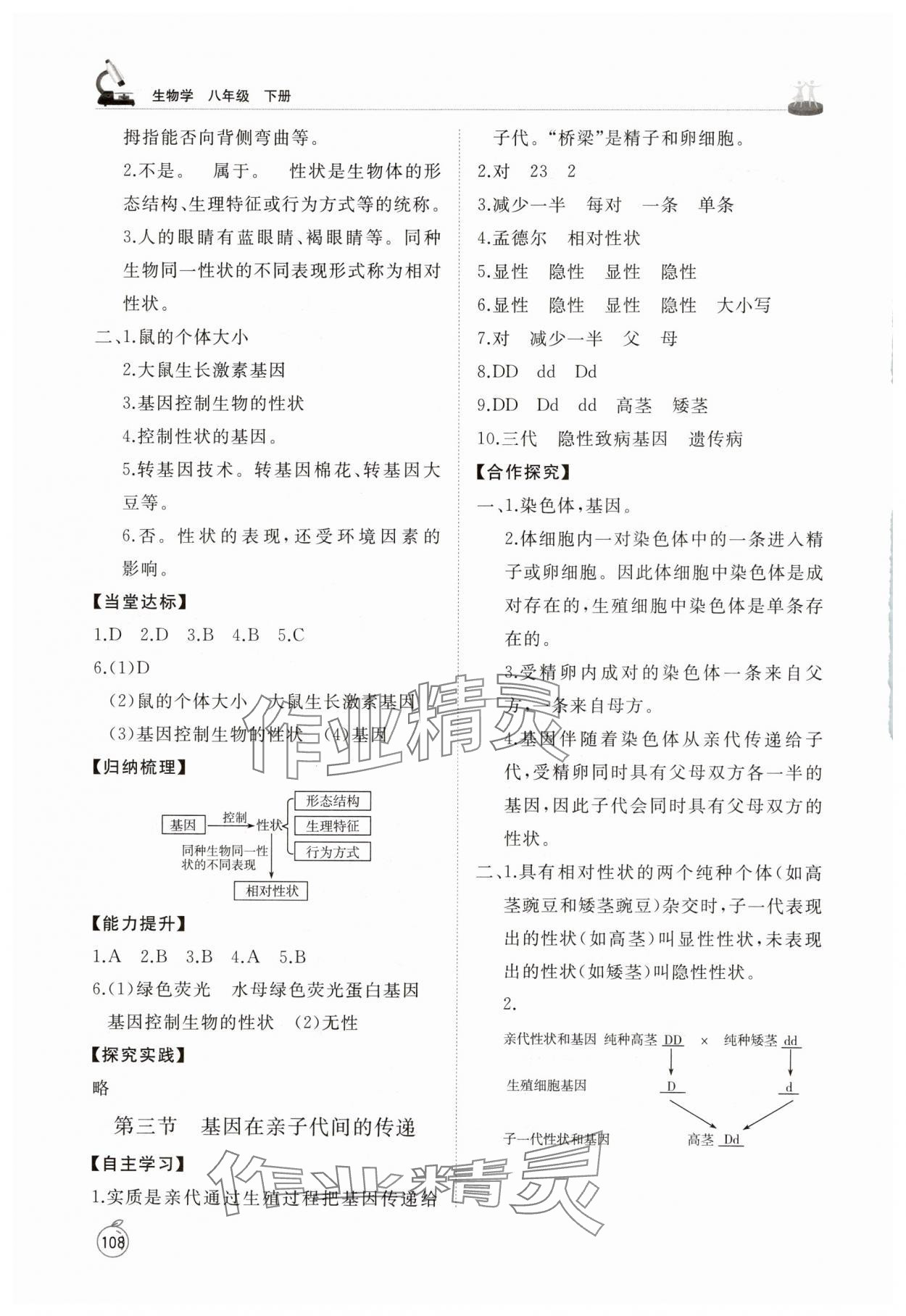 2025年同步練習冊山東友誼出版社八年級生物下冊魯科版五四制 參考答案第5頁