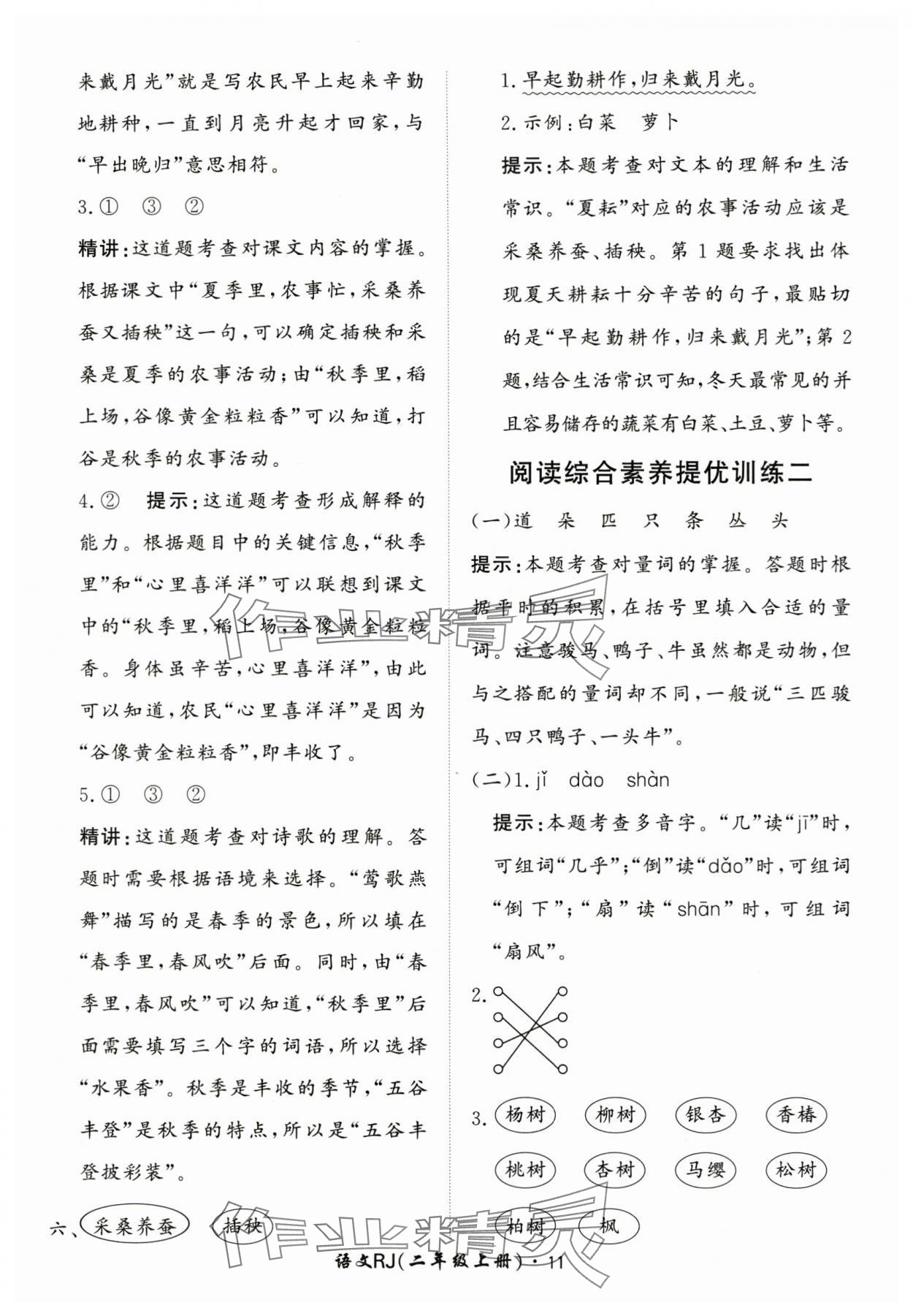 2025年黃岡360定制課時(shí)二年級(jí)語(yǔ)文上冊(cè)人教版 第11頁(yè)