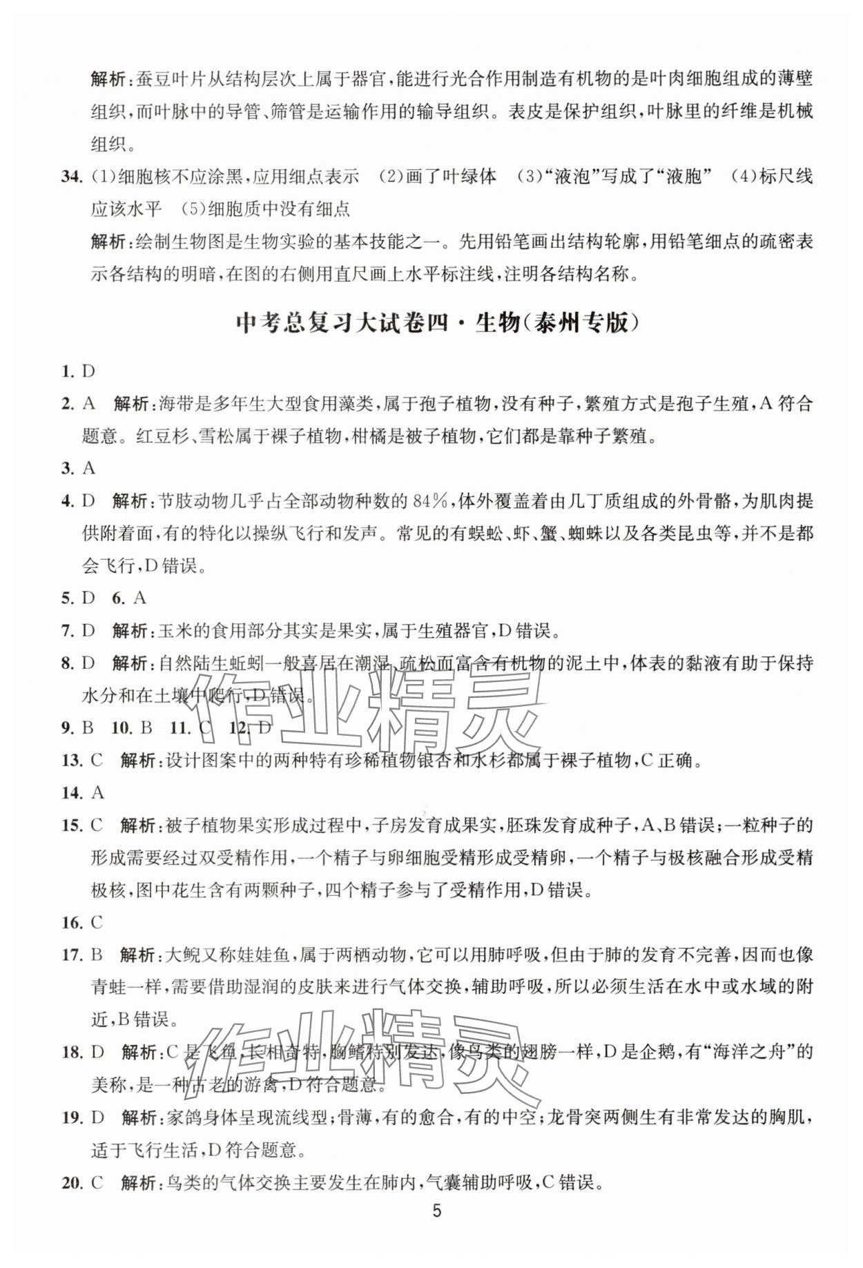 2025年通关提优中考总复习大试卷生物&nbsp;第5页