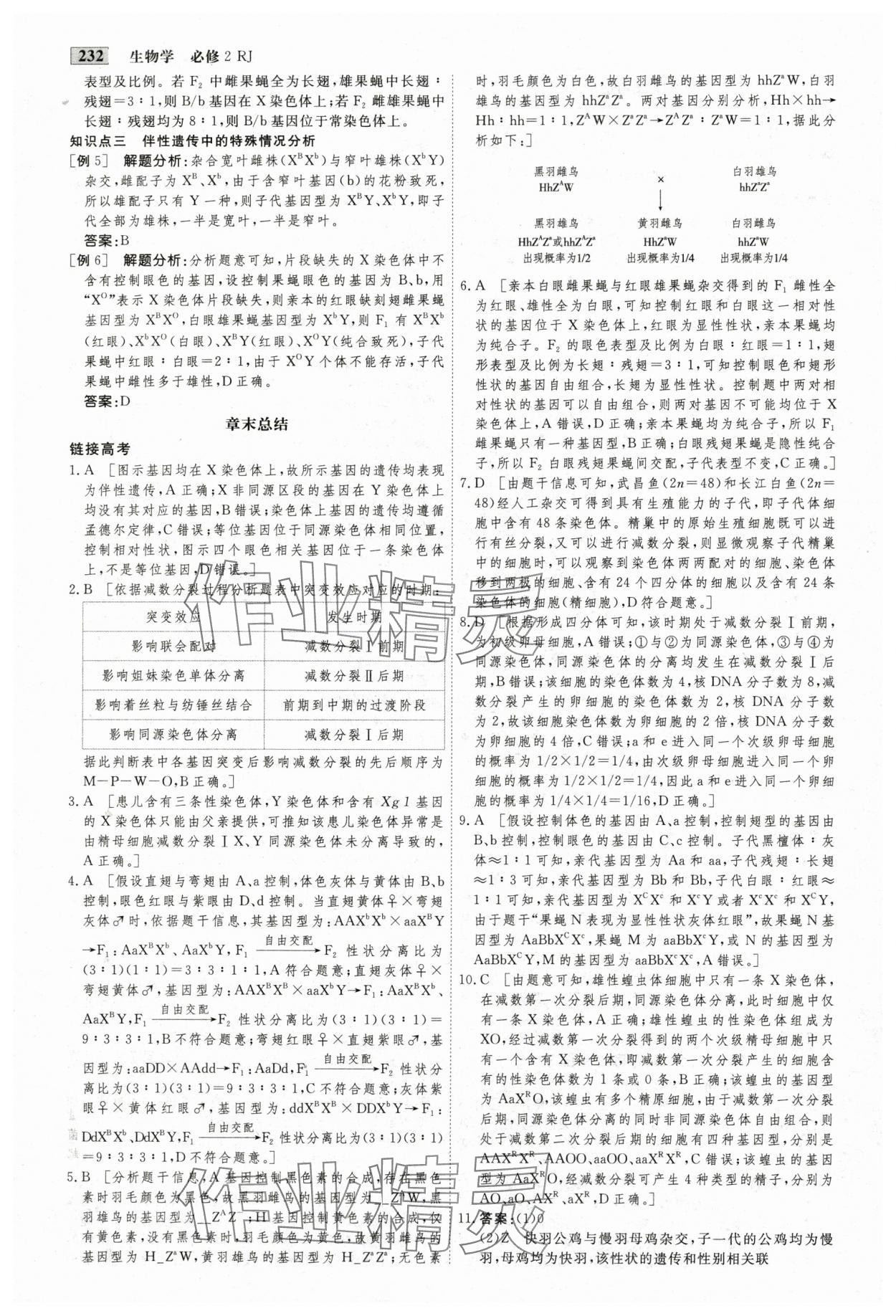 2025年金版教程高中新課程創新導學案生物必修2人教版 參考答案第10頁