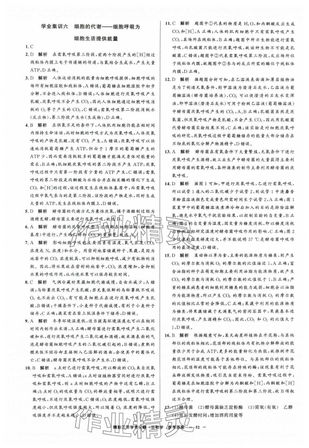 2025年精彩三年學考尖峰生物浙江專版 第6頁