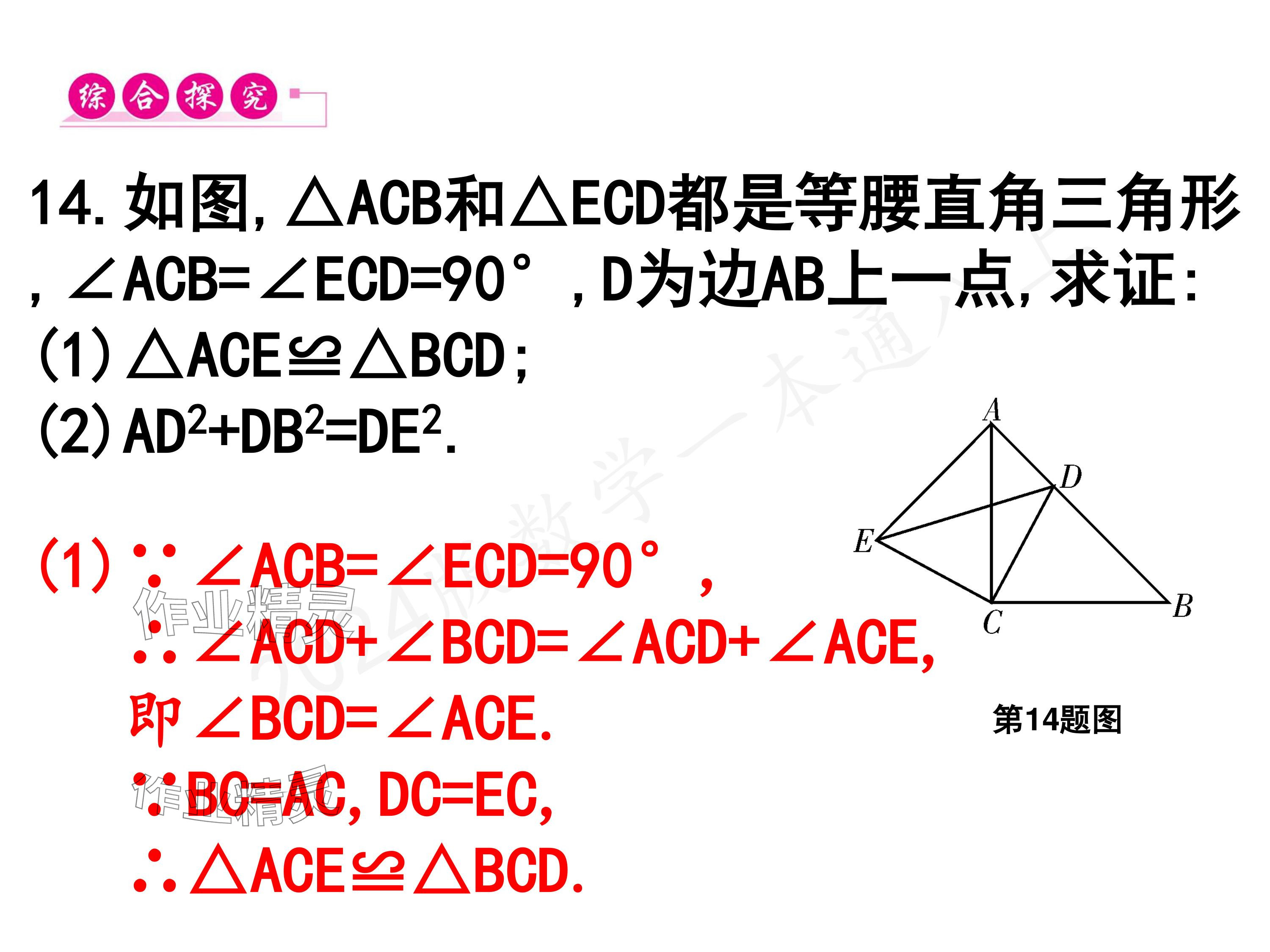 2024年一本通武漢出版社八年級數(shù)學(xué)上冊北師大版核心板 參考答案第12頁