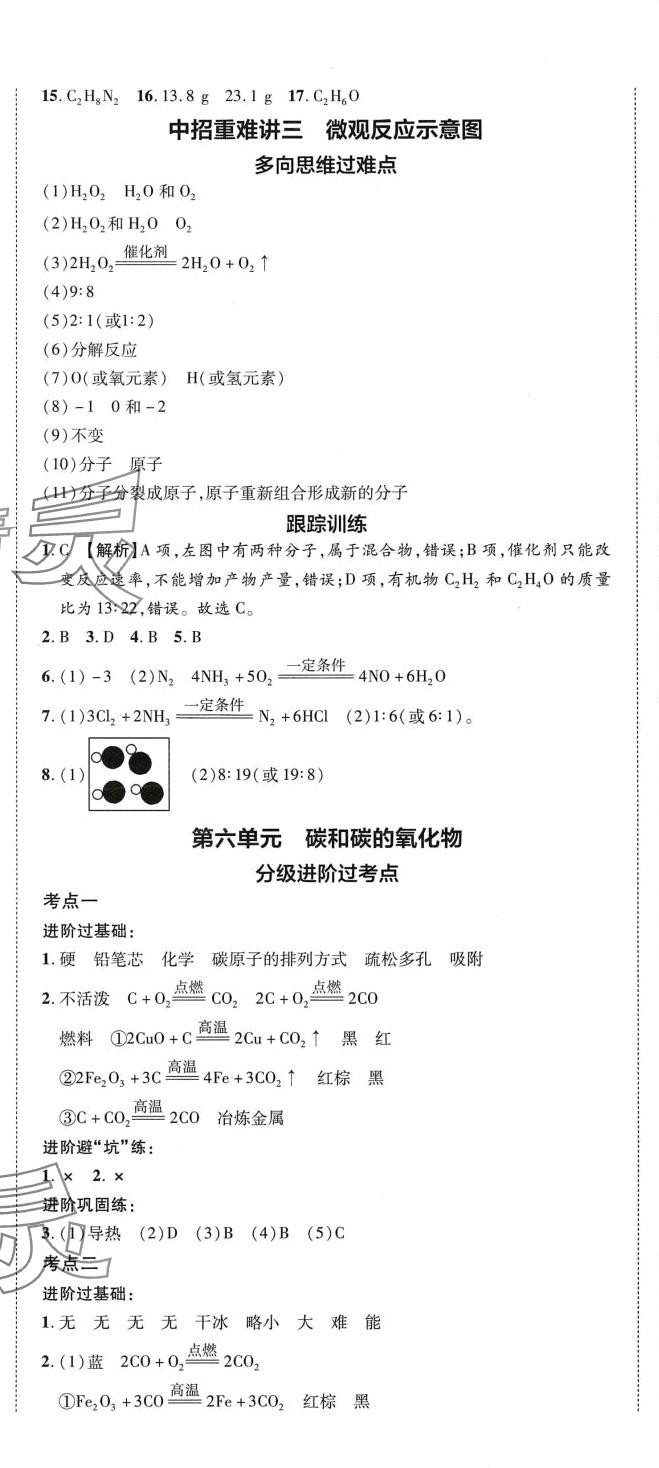 2024年王睿中考總復習一本通化學人教版 第11頁