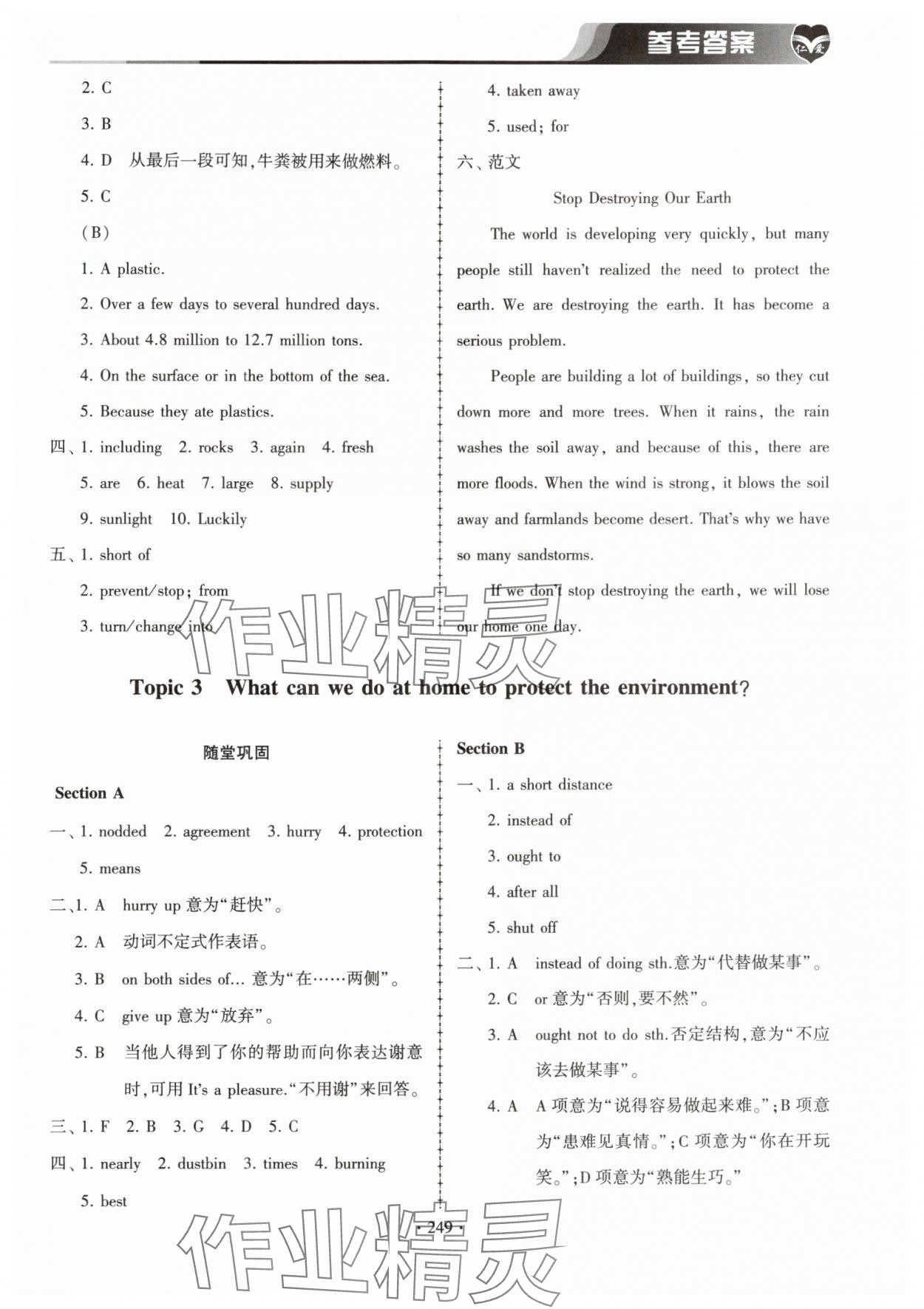 2025年仁爱英语同步练习册九年级英语全一册仁爱版 第13页