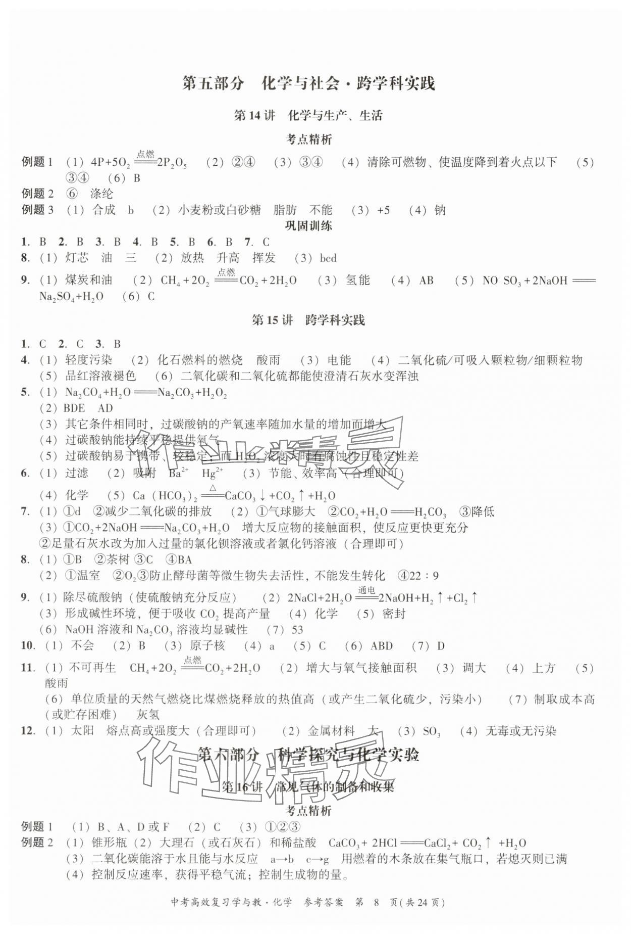 2025年中考高效復習學與教化學廣州專版 參考答案第8頁