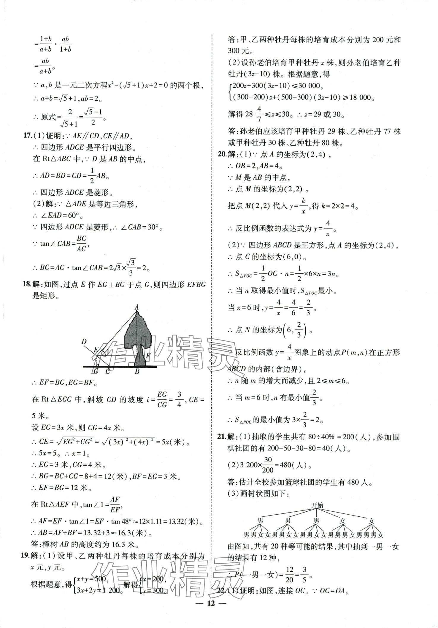 2024年3年真题2年模拟1年预测数学中考菏泽专版&nbsp;第12页