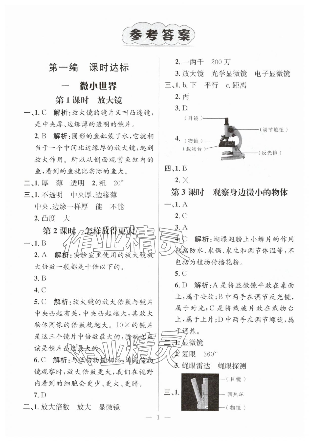 2025年名师测控六年级科学上册教科版 参考答案第1页