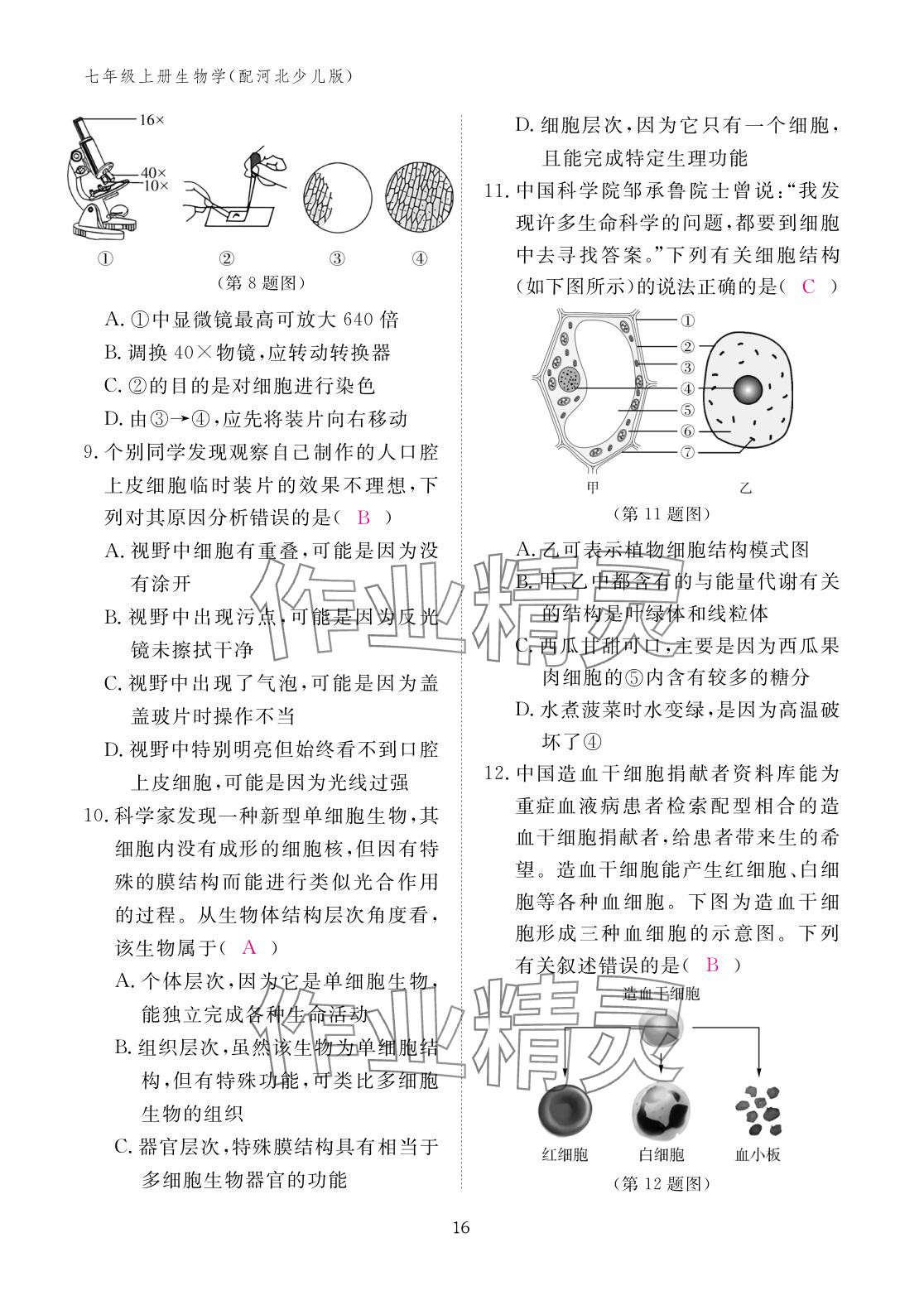 2025年作业本江西教育出版社七年级生物上册冀少版 参考答案第16页