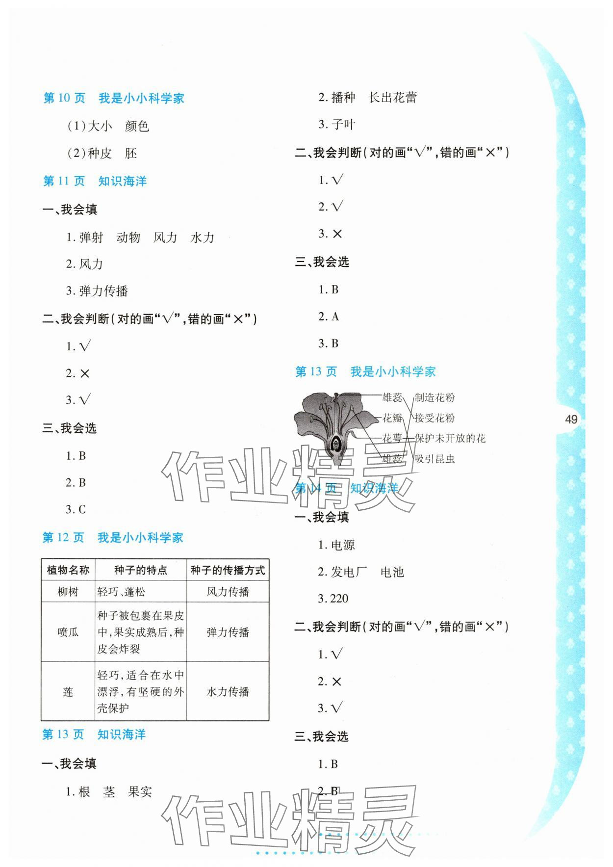 2025年暑假作业与生活陕西人民教育出版社四年级科学教科版 第3页