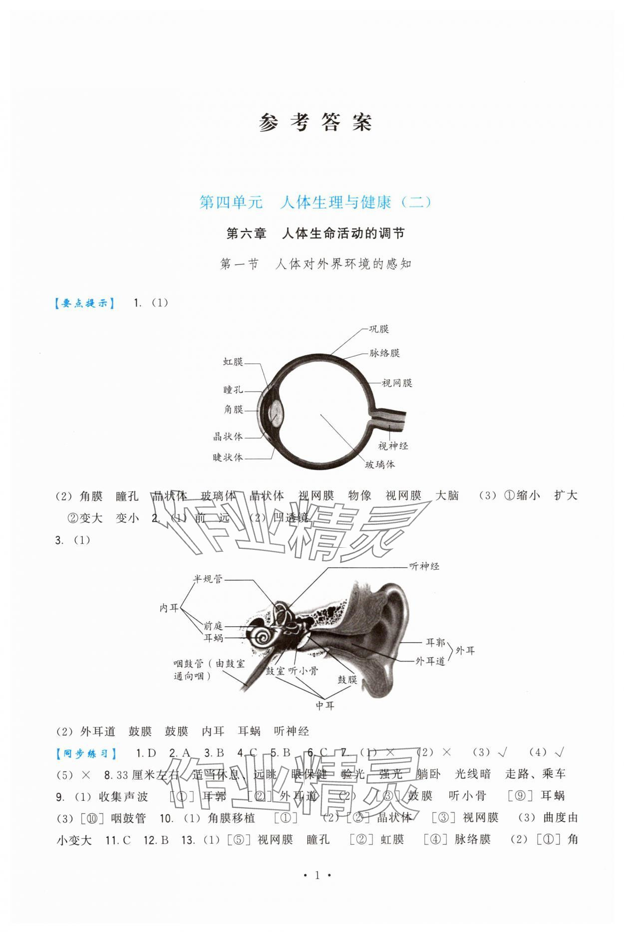 2025年顶尖课课练八年级生物上册人教版 第1页
