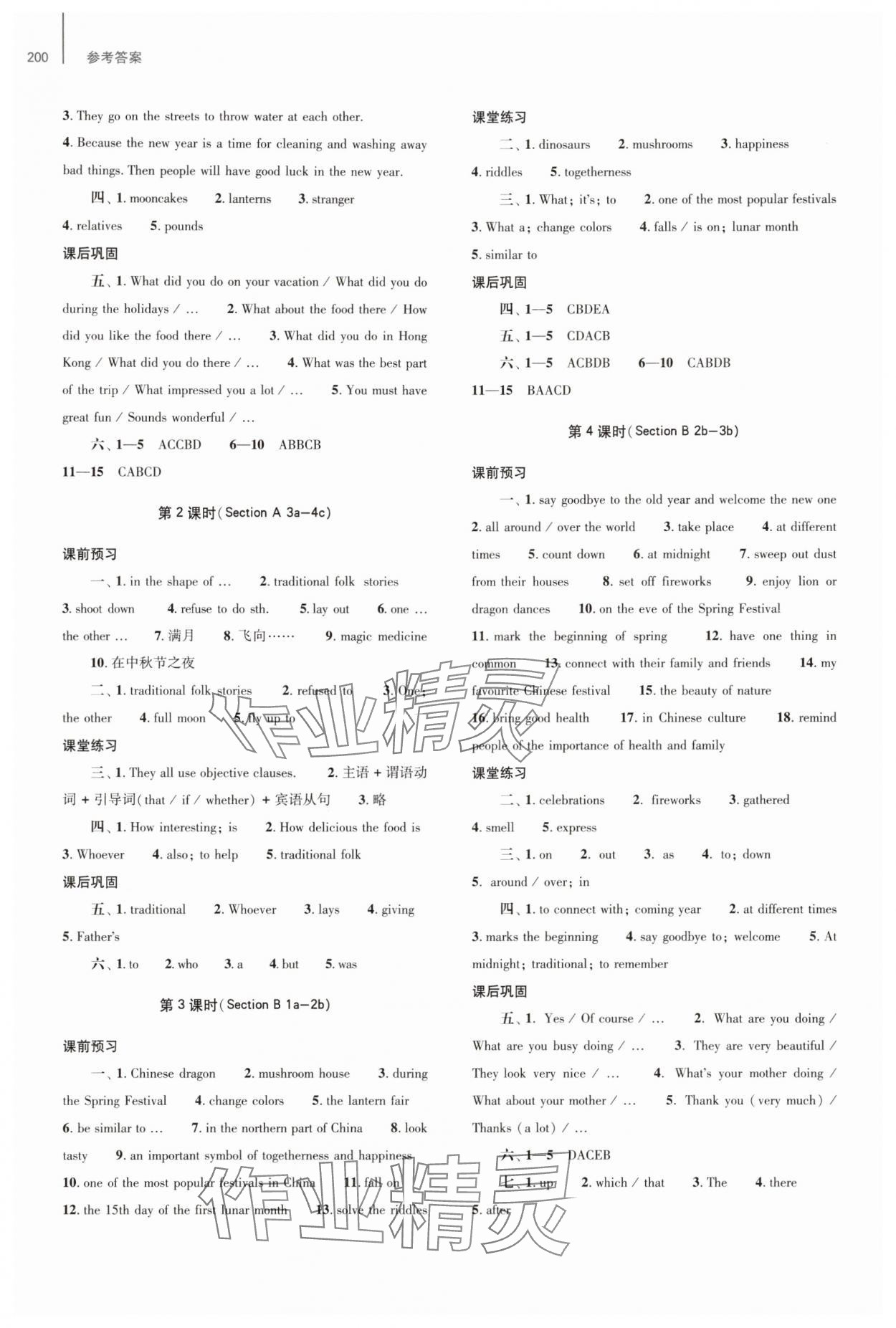 2025年同步練習冊大象出版社九年級英語全一冊人教版 參考答案第3頁