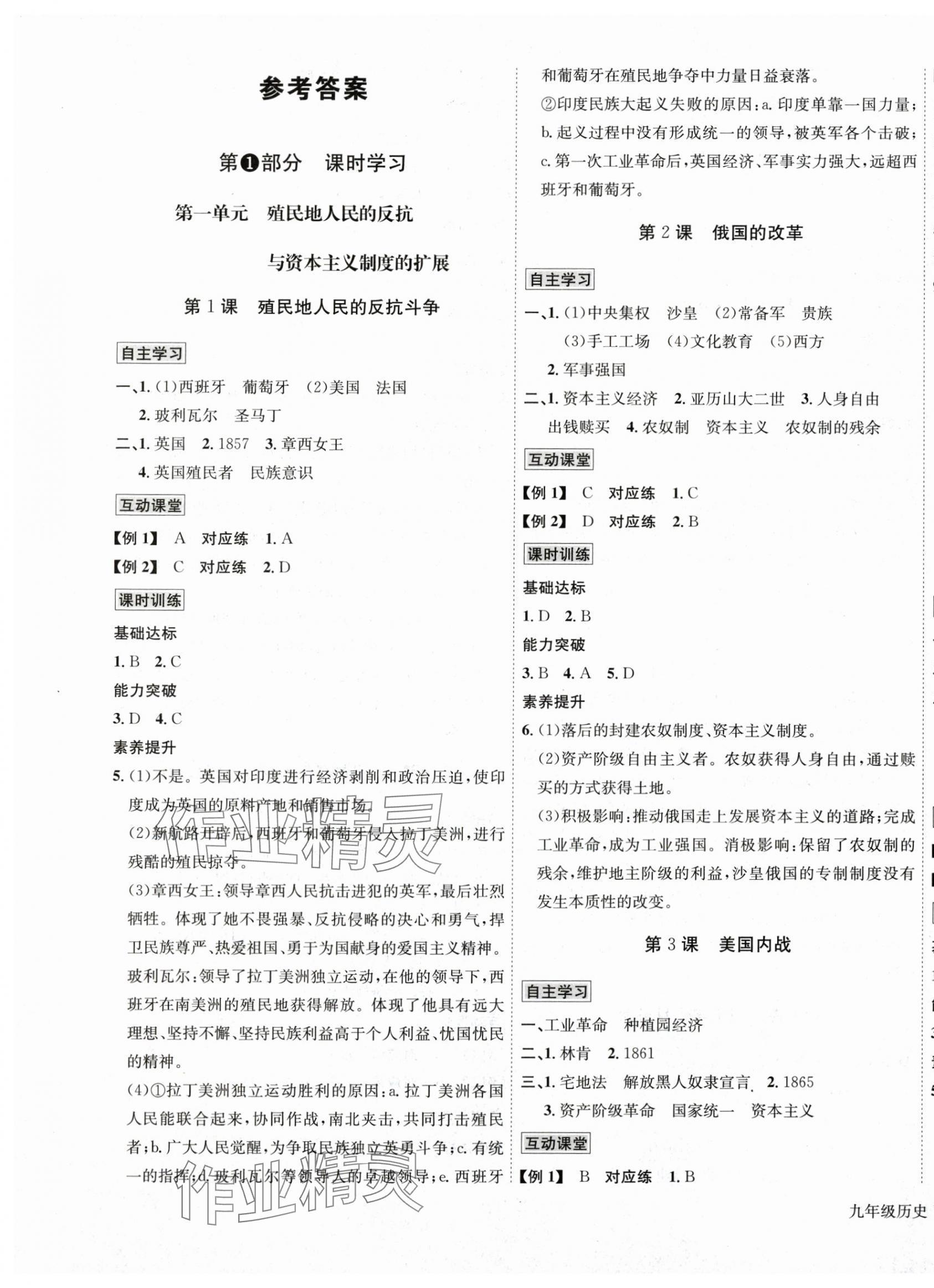 2025年优学名师名题九年级历史下册人教版 第1页