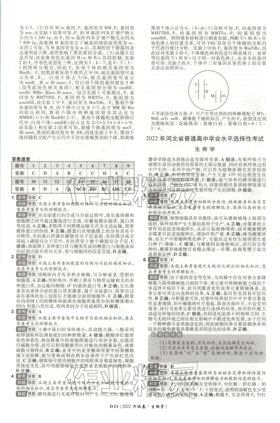 2026年新高考5年真题生物河北专版 第11页