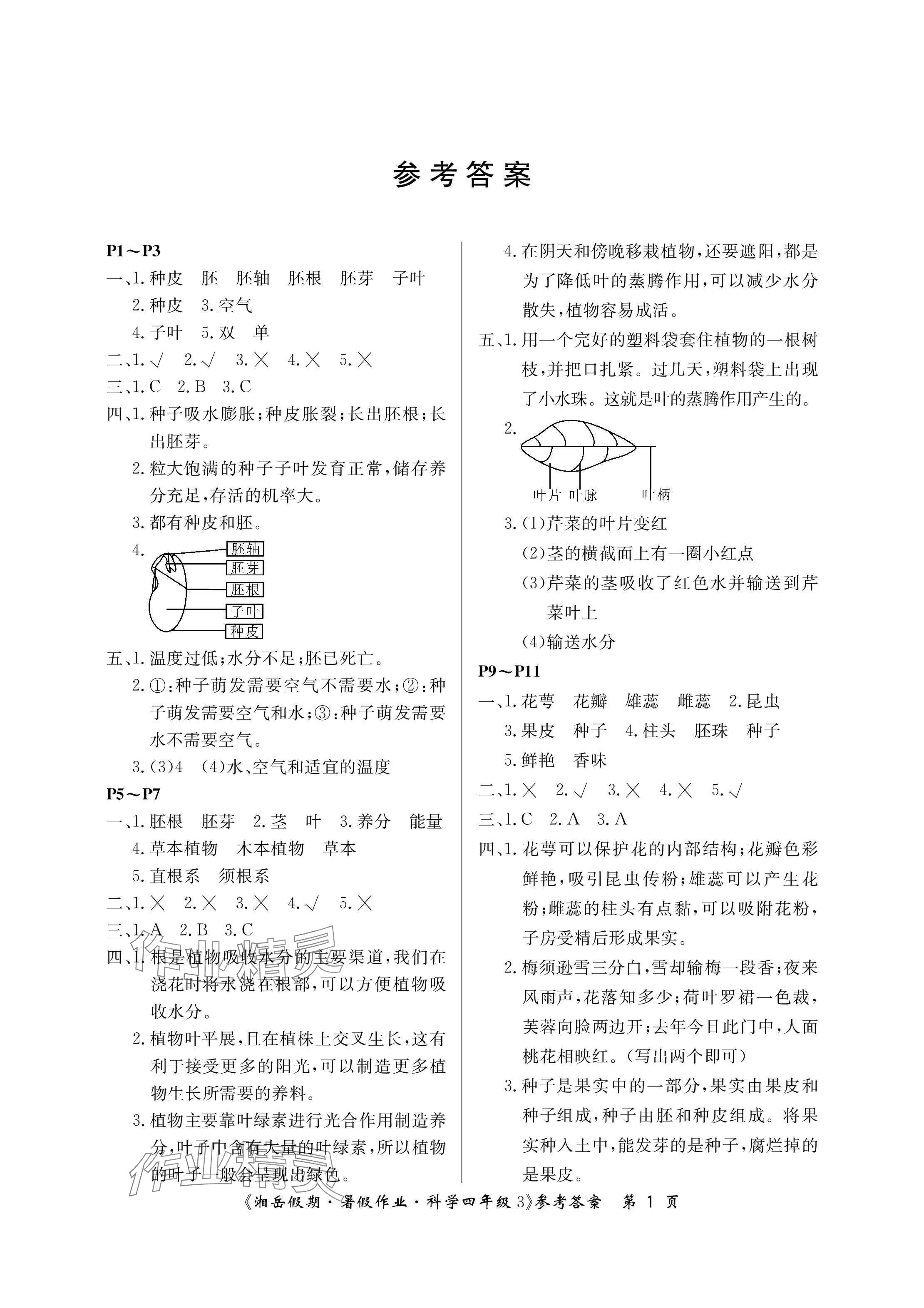 2025年湘岳假期暑假作業(yè)四年級科學(xué)教科版 參考答案第1頁