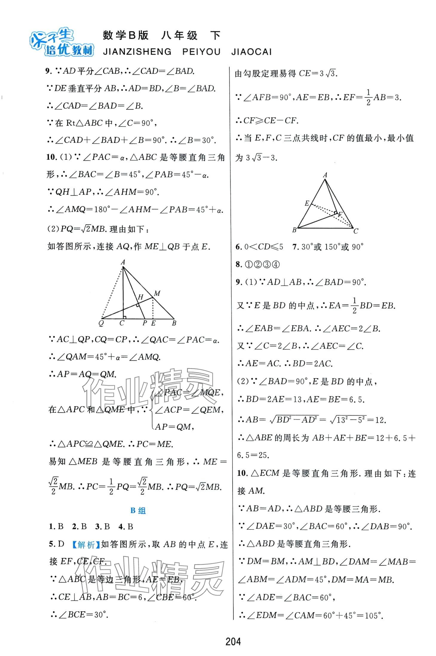 2024年尖子生培优教材八年级数学下册北师大版B版 第4页