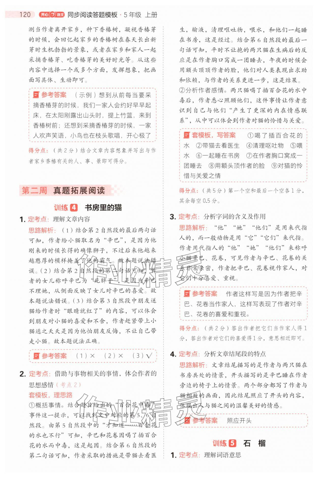 2025年同步閱讀答題模板五年級語文上冊人教版 第4頁