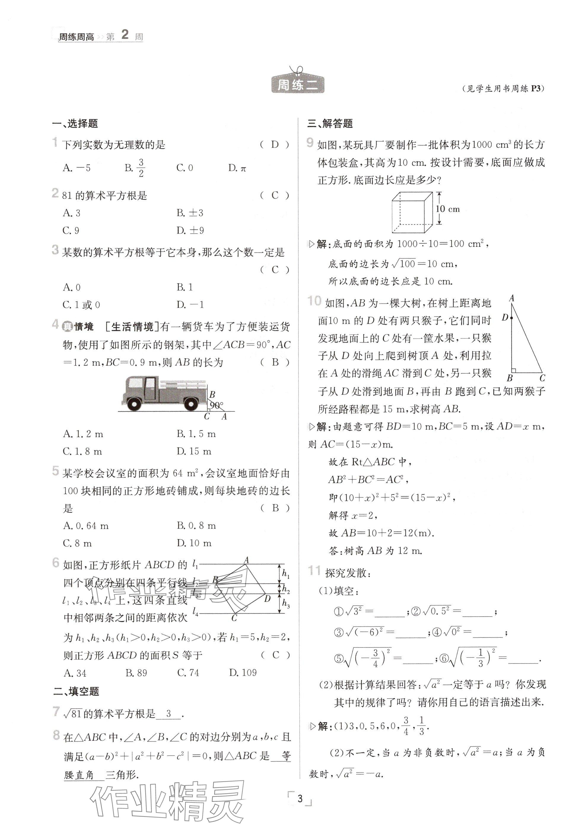 2024年日清周练八年级数学上册北师大版 参考答案第3页