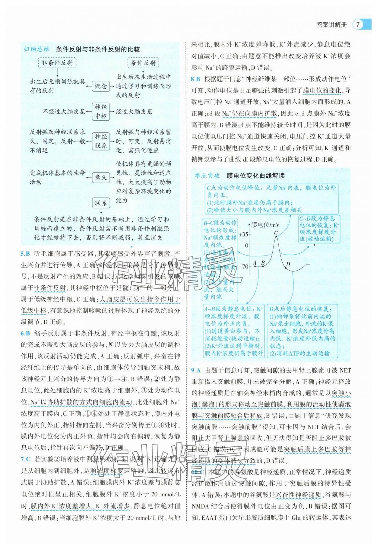 2025年53全優(yōu)卷生物選擇性必修1人教版 第7頁