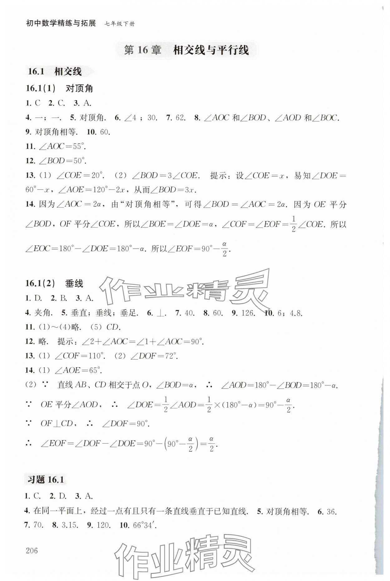 2025年初中數學精練與拓展七年級下冊滬教版五四制 參考答案第8頁