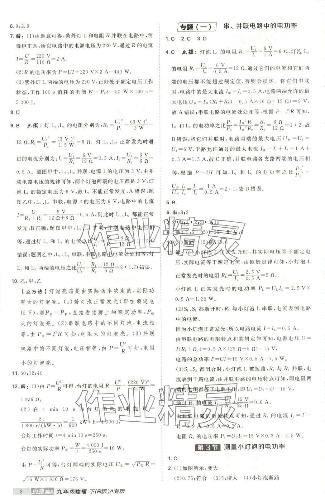 2025年点拨训练九年级物理下册人教版河北专版 第2页