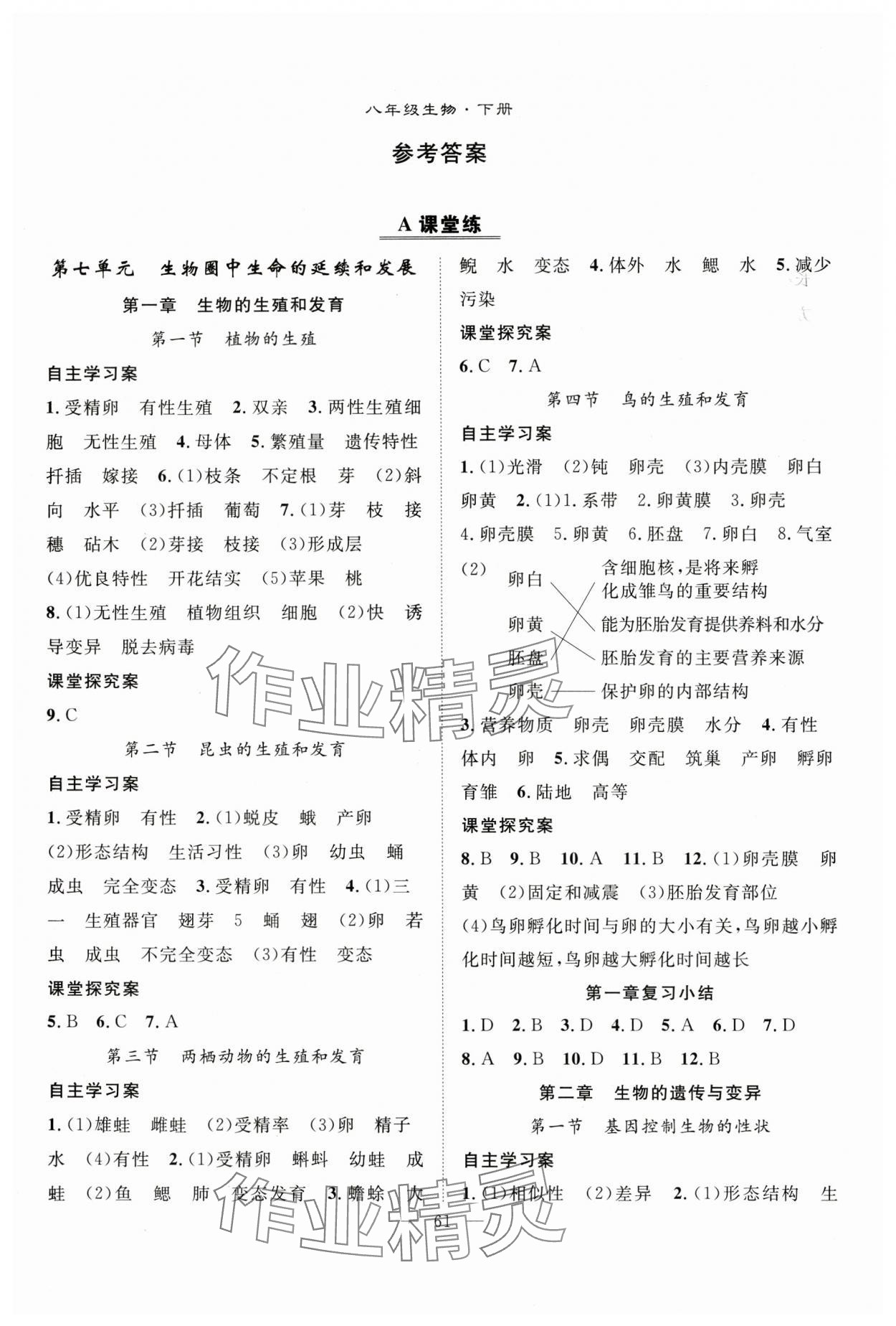 2025年優(yōu)質(zhì)課堂導(dǎo)學(xué)案八年級生物下冊人教版 第1頁