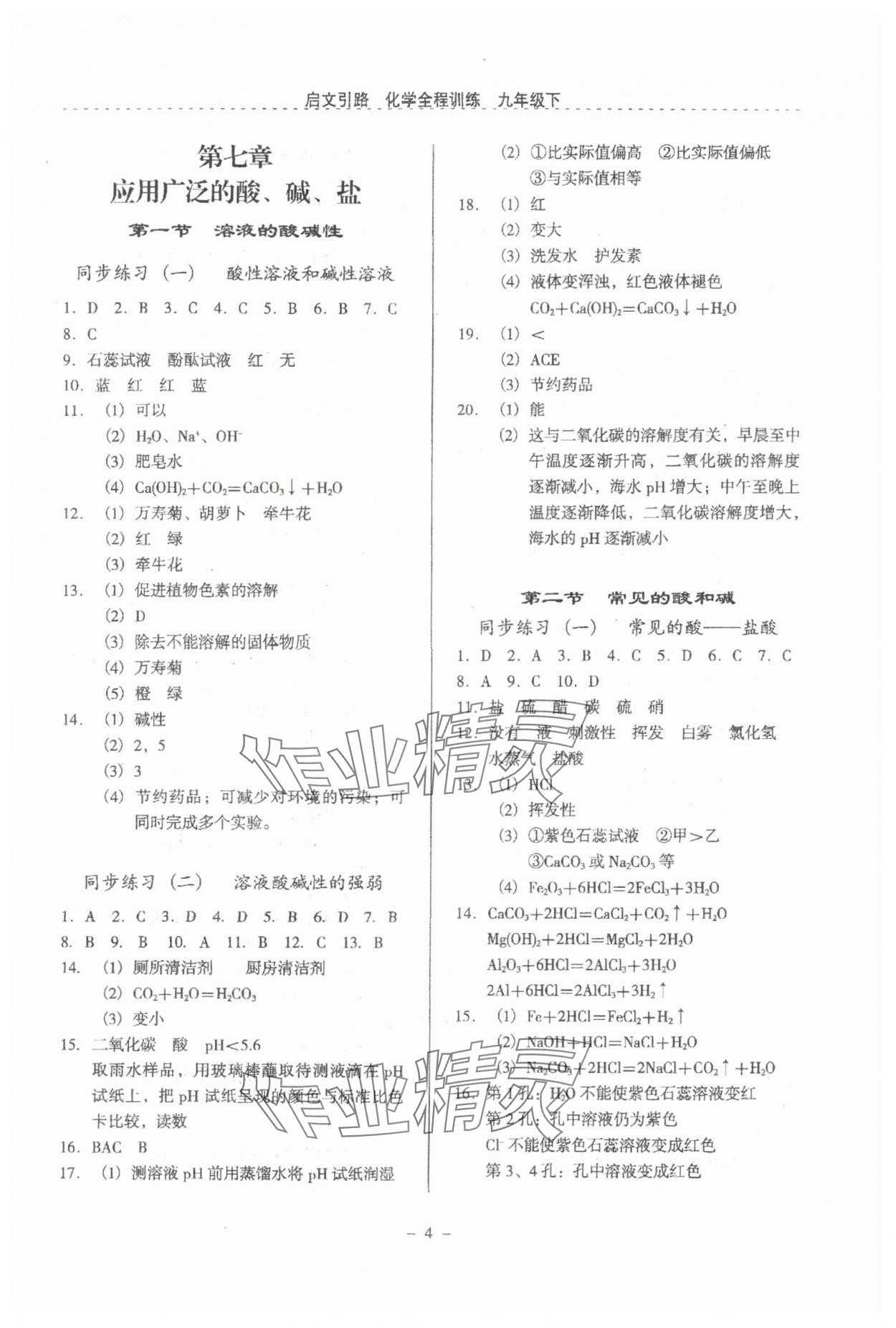 2024年启文引路九年级化学下册沪教版 参考答案第4页