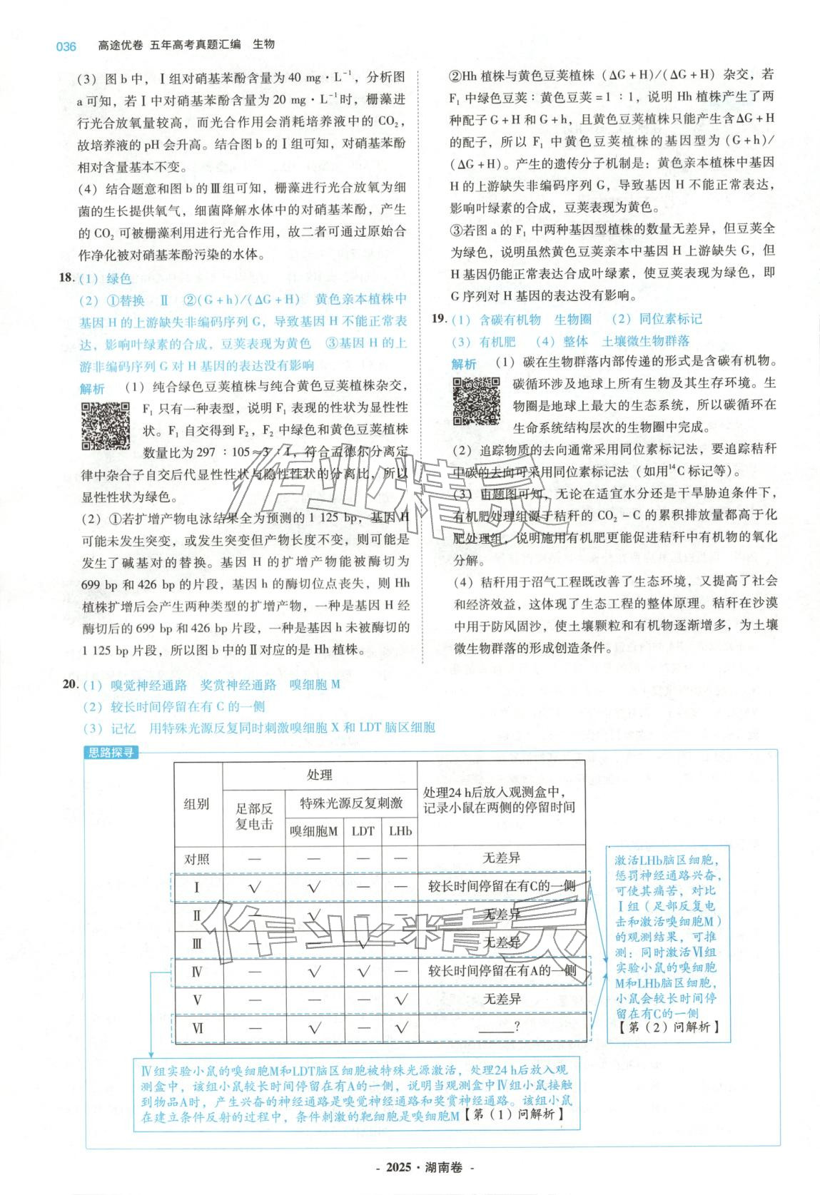 2026年五年高考真题汇编高中生物&nbsp;第36页