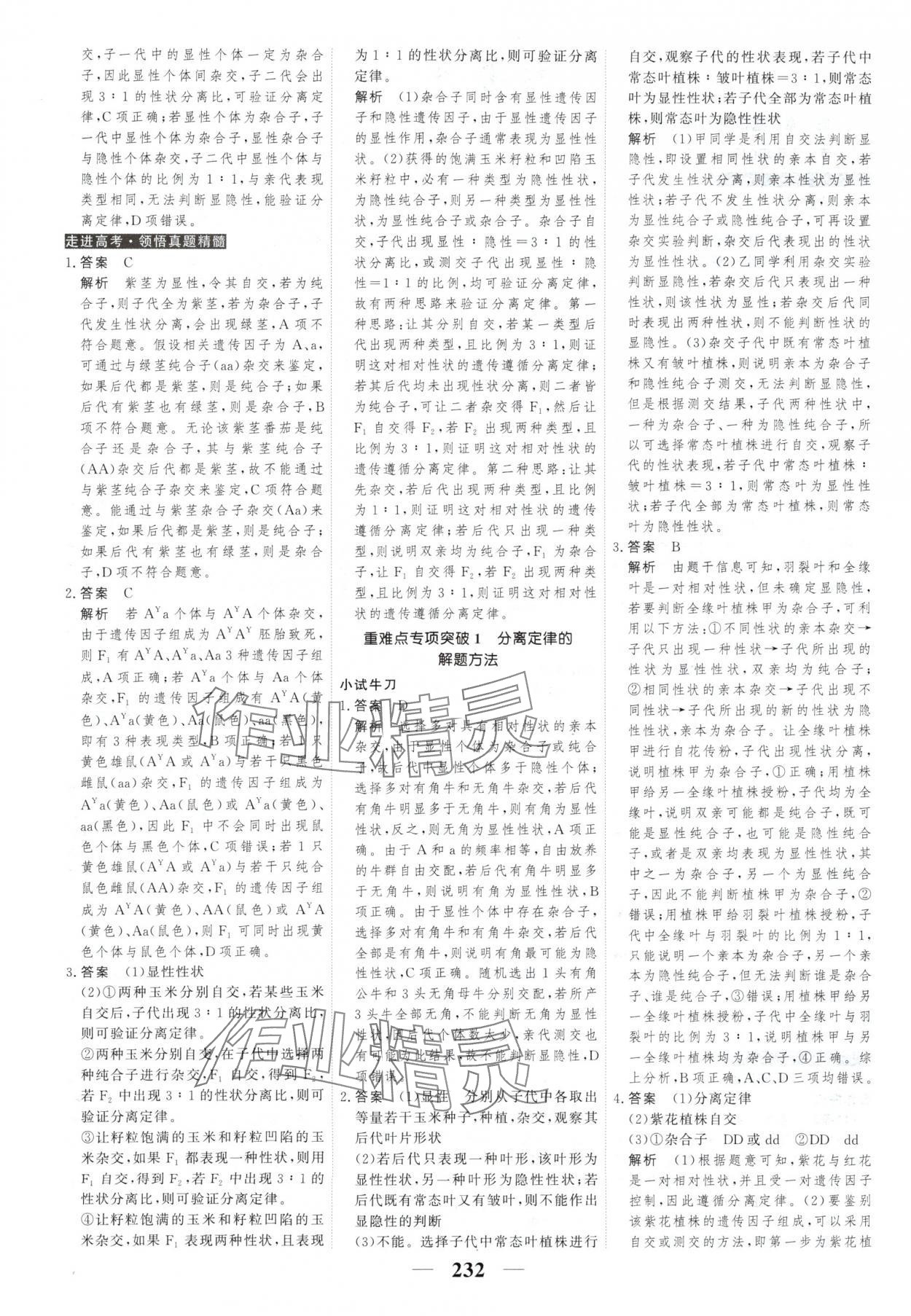 2025年新教材同步學案高考調研生物必修2人教版 第2頁