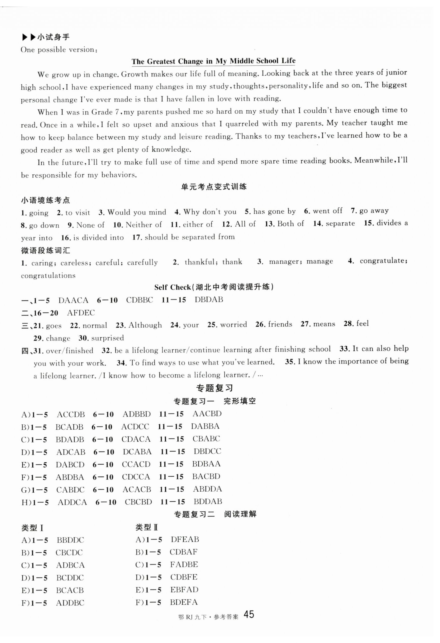 2025年名校課堂九年級英語下冊人教版湖北專版 第9頁