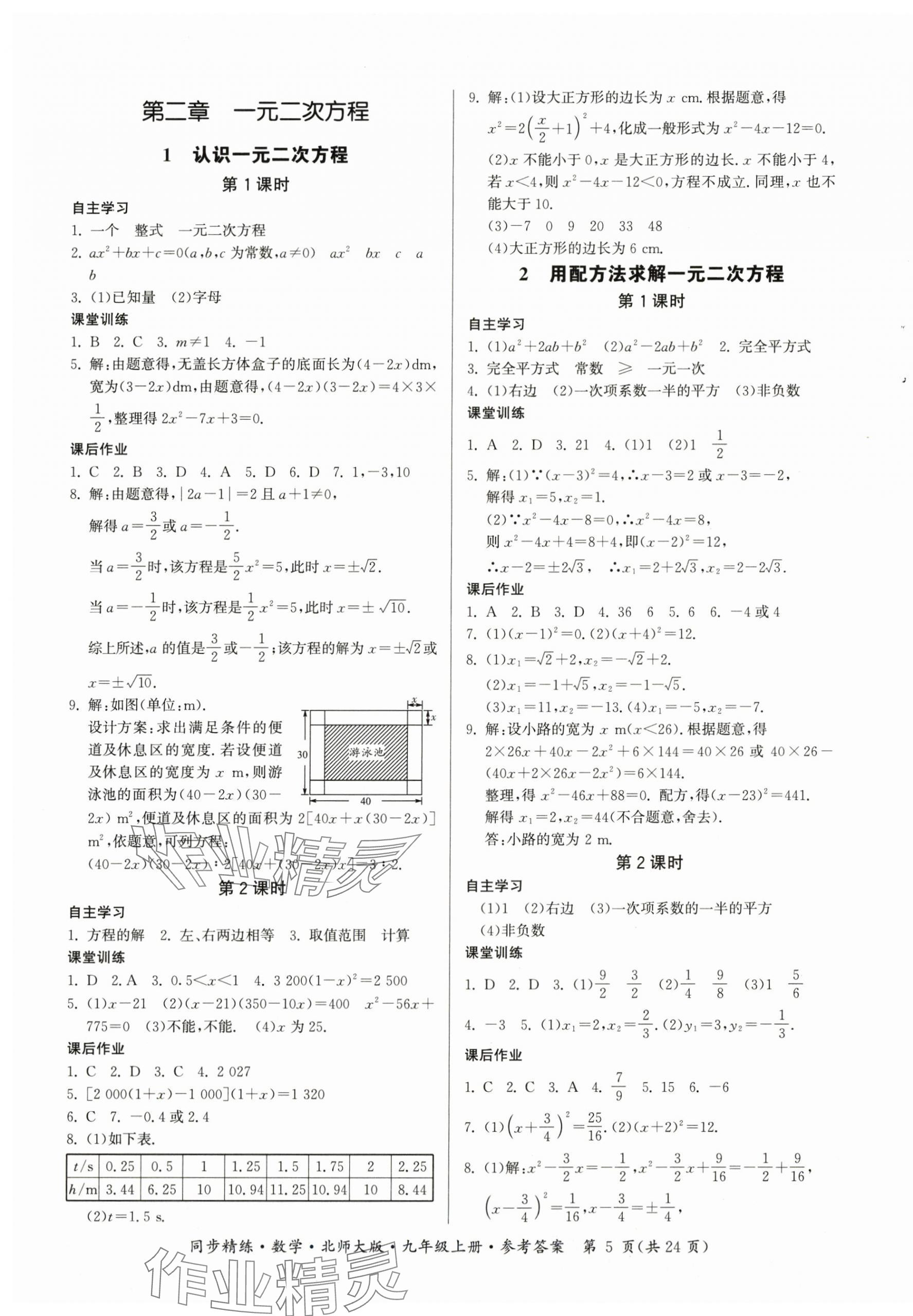 2025年同步精练广东九年级数学上册北师大版 第5页