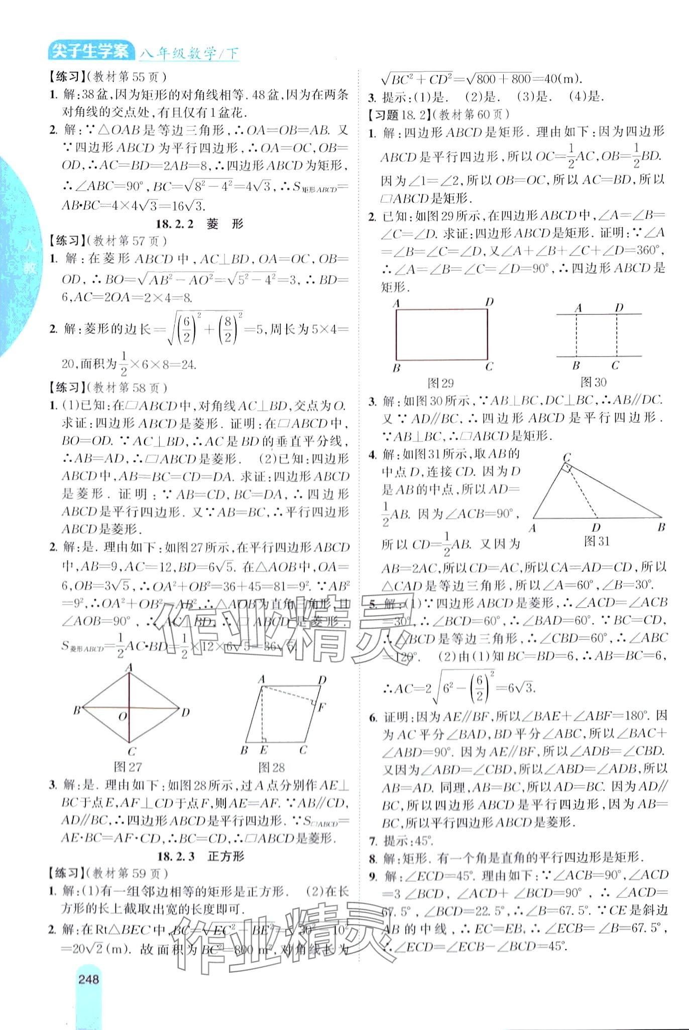 2024年尖子生學案八年級數學下冊人教版 第10頁