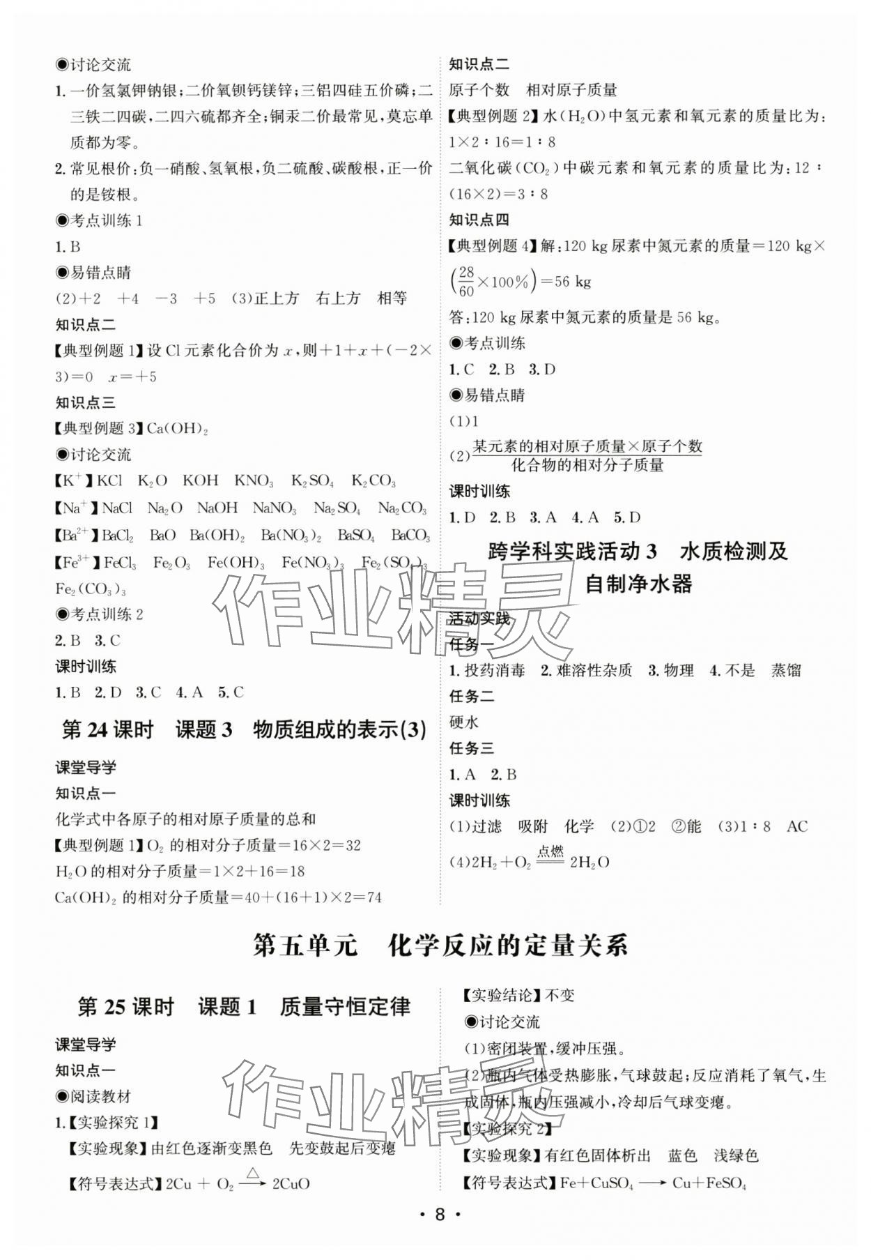 2024年考點專練九年級化學(xué)全一冊人教版深圳專版 第8頁