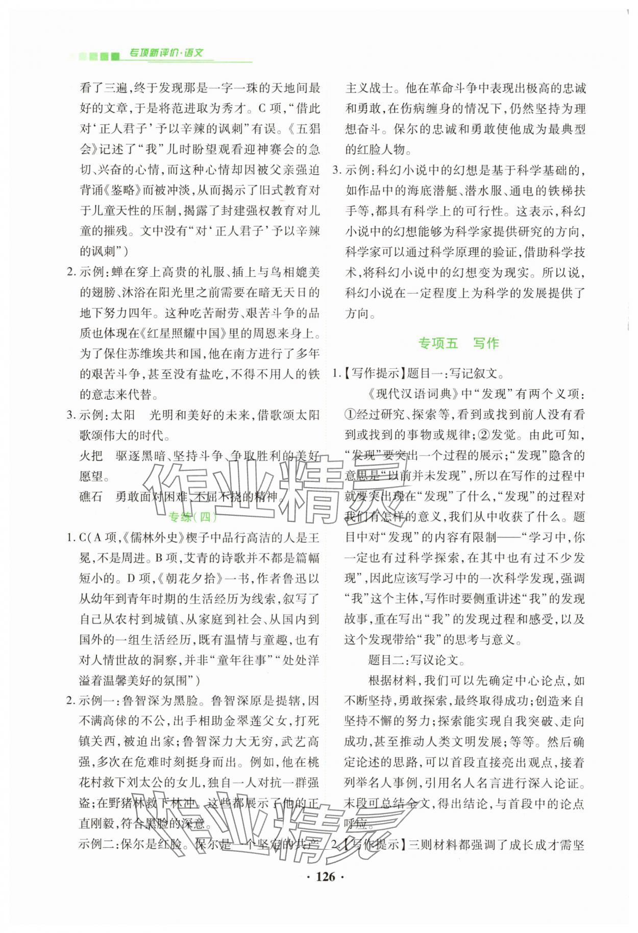 2025年專項(xiàng)新評價中考二輪語文 第8頁
