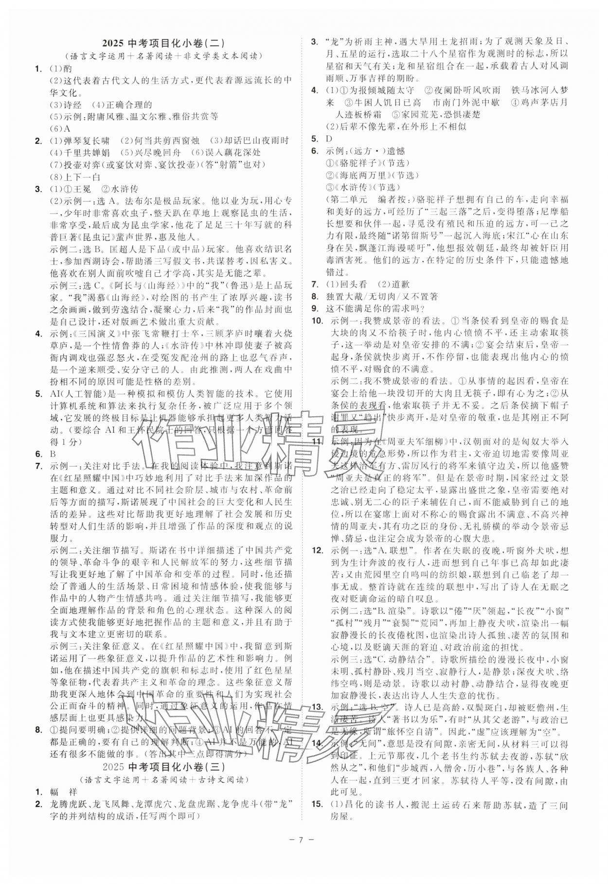 2025年精彩三年中考语文浙江专版 参考答案第7页